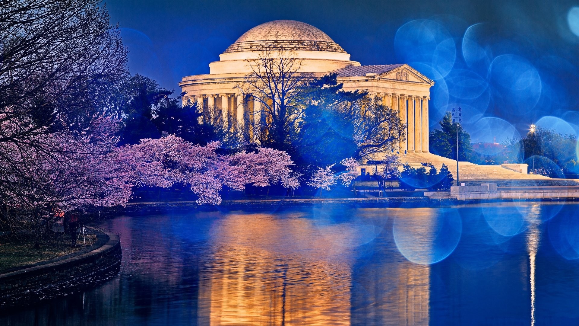 Jefferson Memorial at night with cherry blossoms and reflection HD Wallpaper