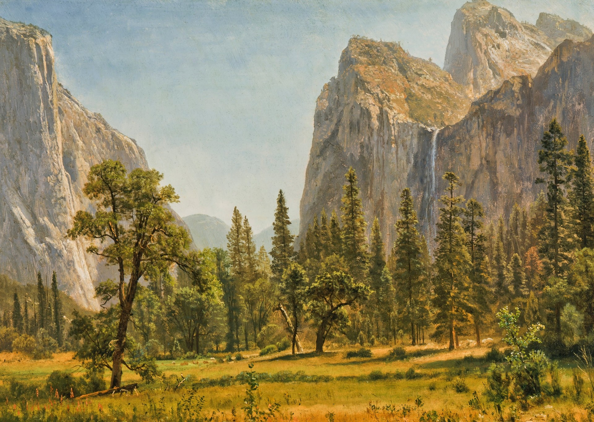 Yosemite Valley Landscape with Waterfall and Trees HD Wallpaper