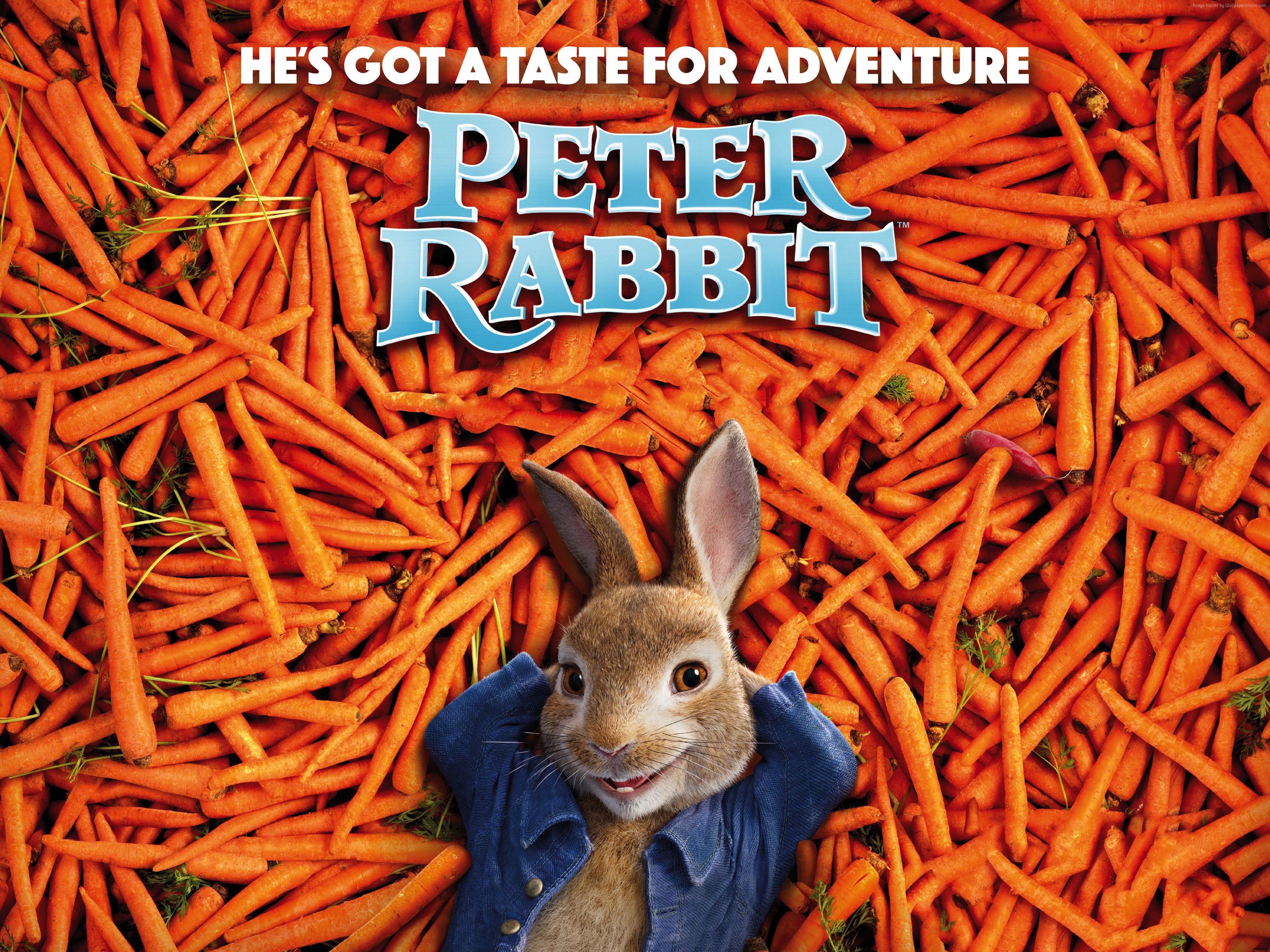 Peter Rabbit from Peter Rabbit HD Wallpaper