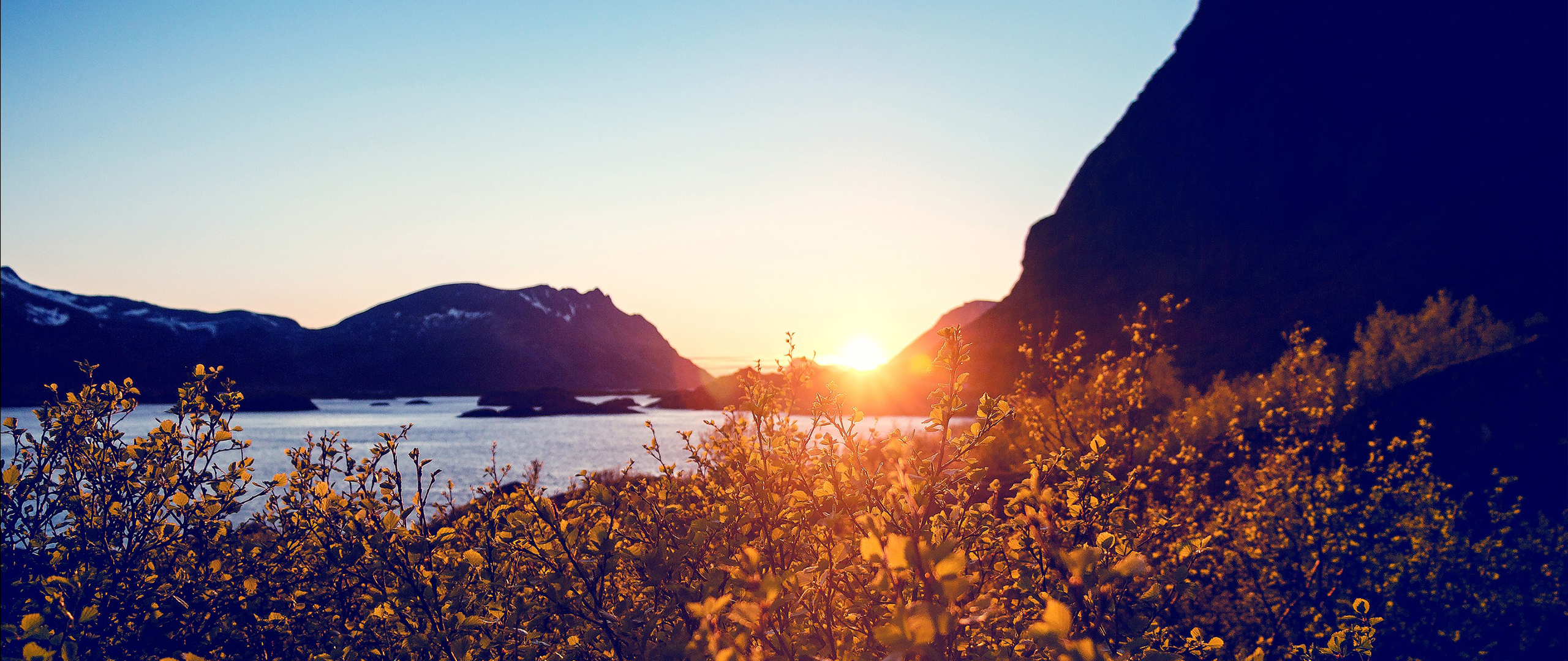 Sunset over a calm sea with mountains and foreground foliage HD Wallpaper