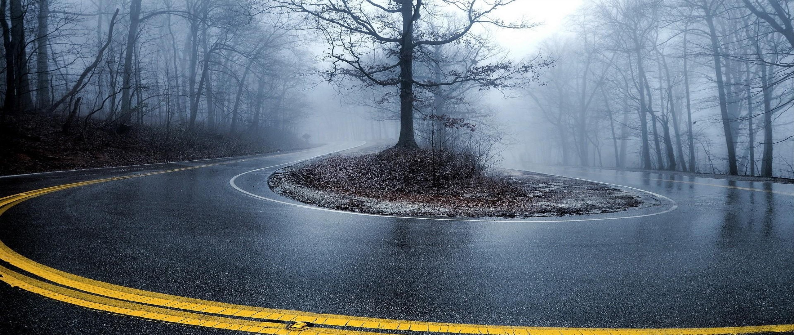 Winding Road Through a Misty Forest in Winter HD Wallpaper