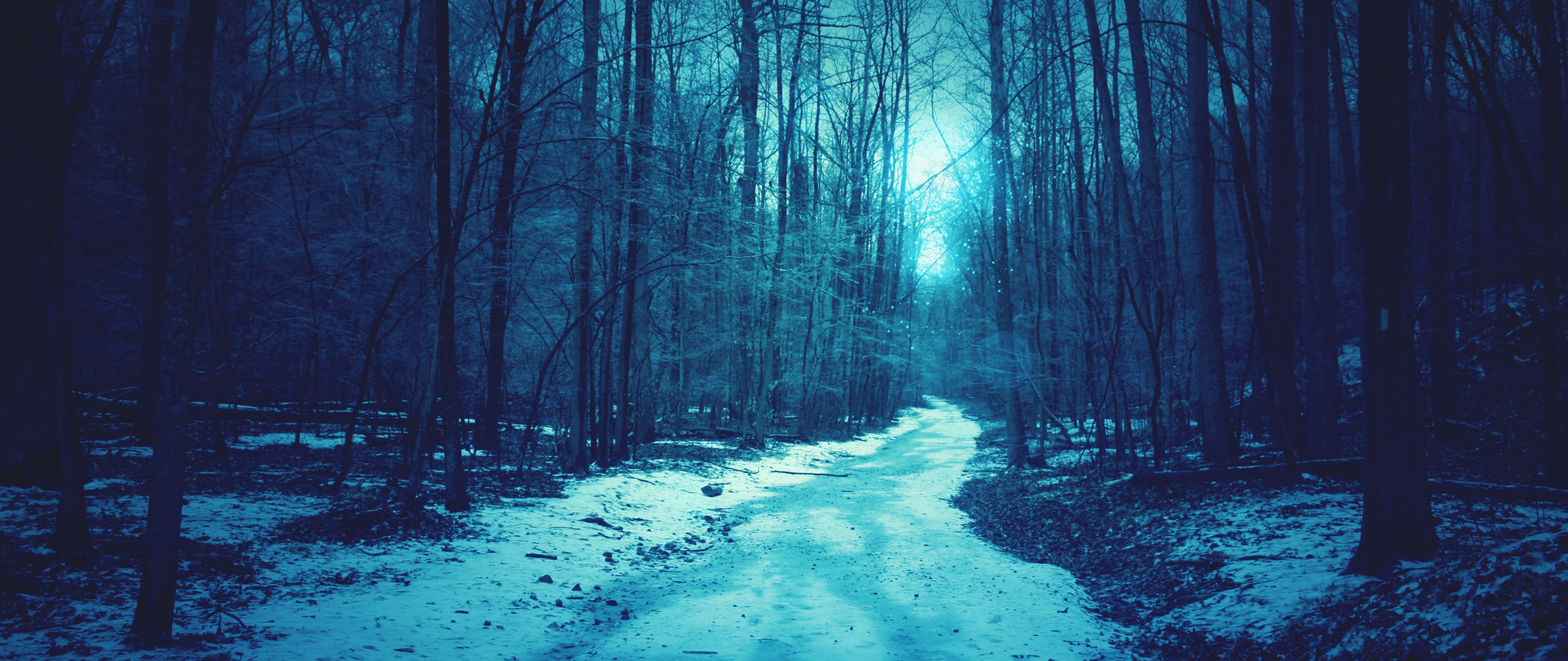 Snowy forest path with bright light in the distance HD Wallpaper