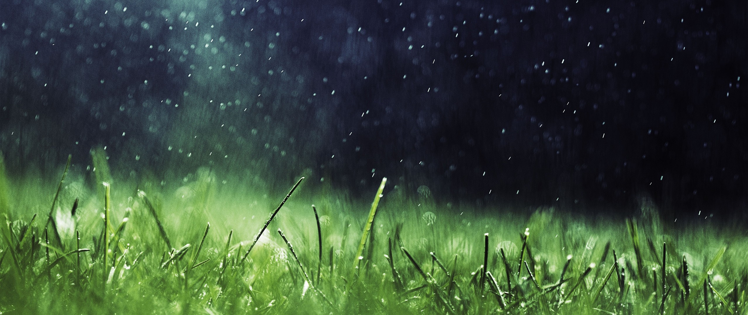 Rain falling on green grass with dark background HD Wallpaper