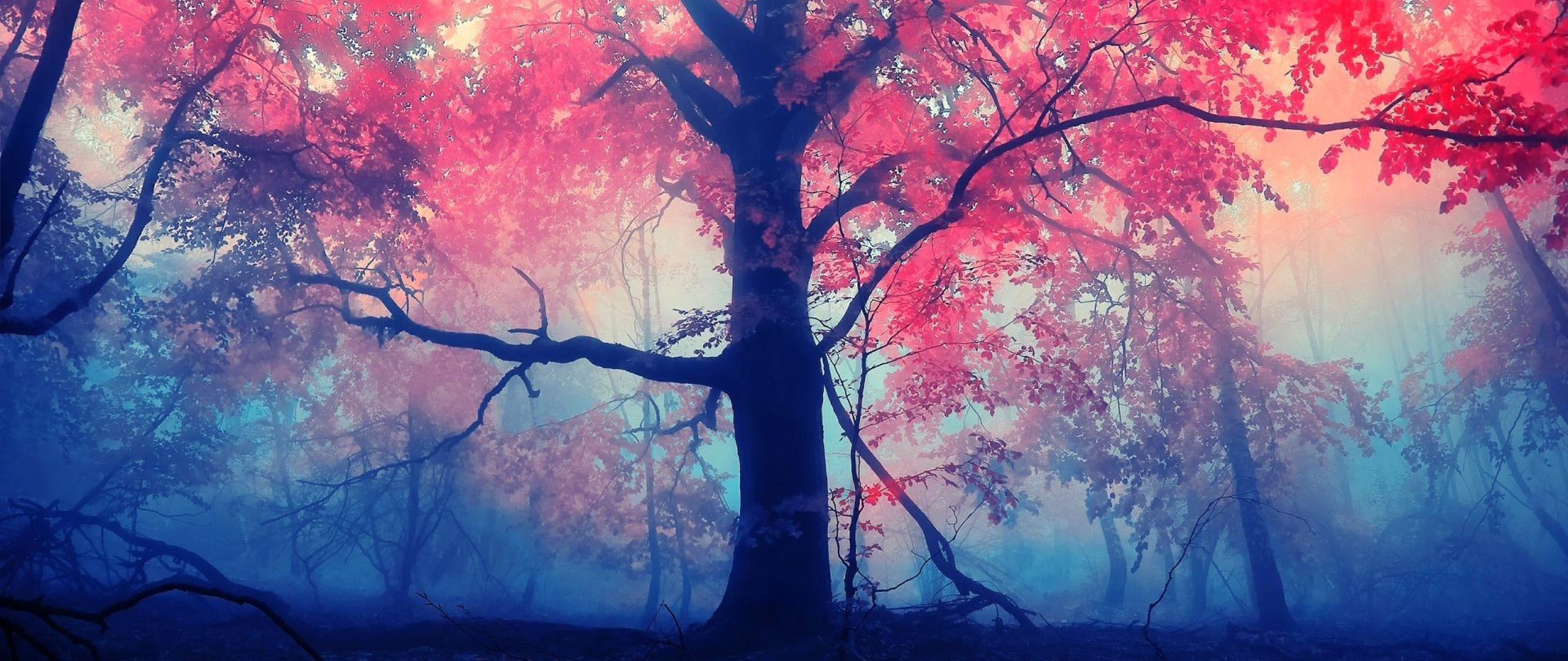 Misty forest with pink and blue trees HD Wallpaper