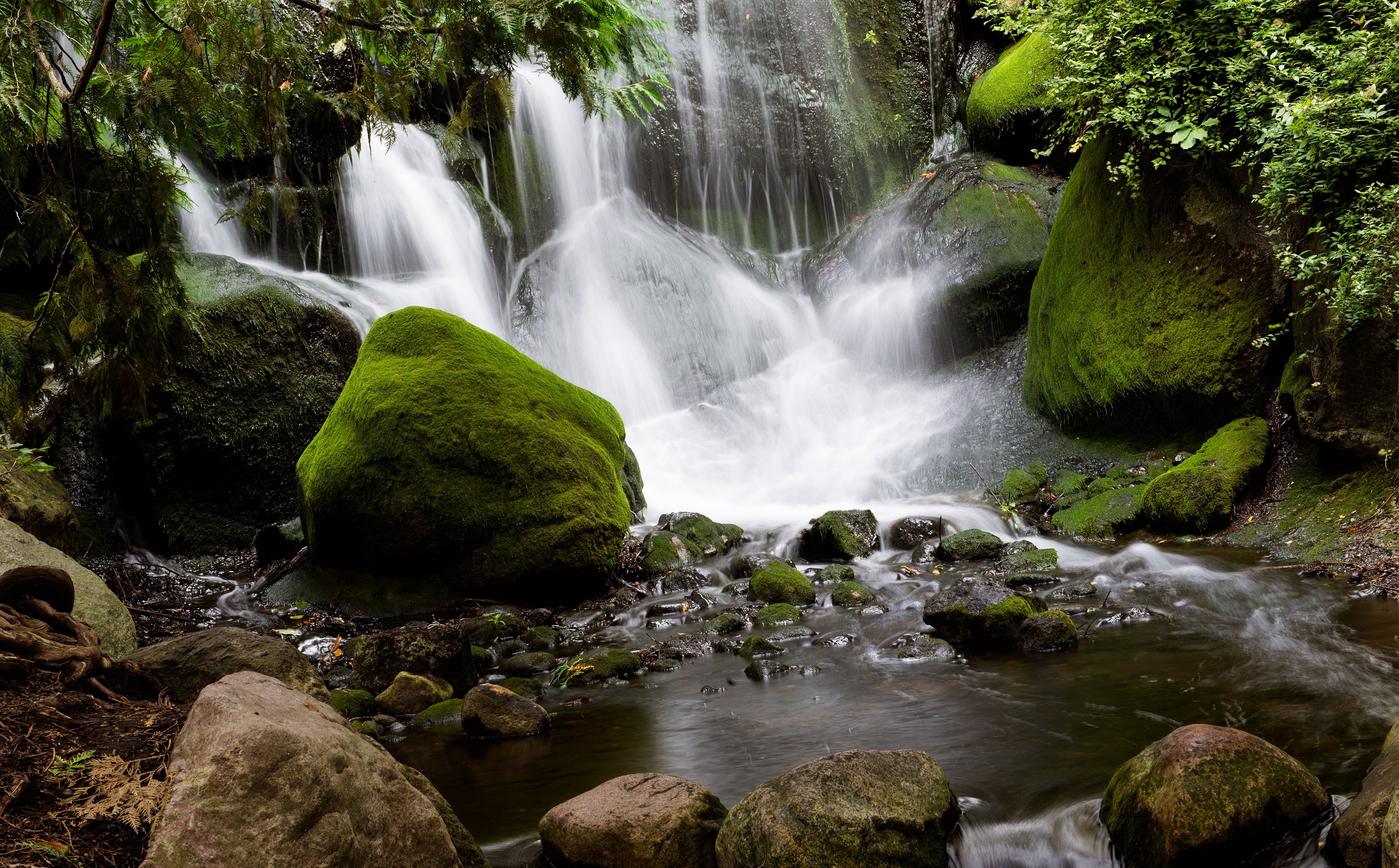 Mossy rocks and a flowing waterfall in a forest HD Wallpaper