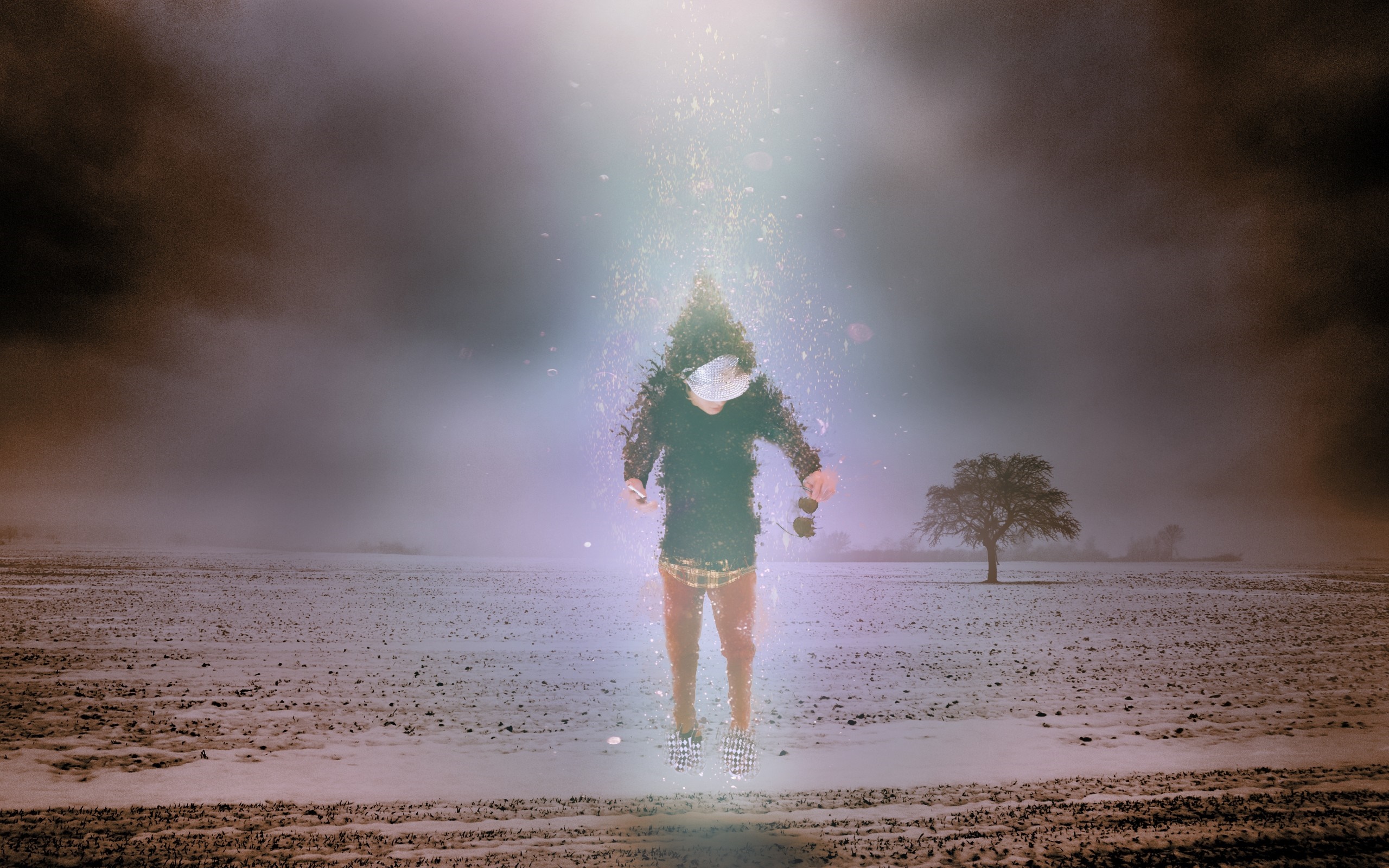Person levitating in a misty field with a tree HD Wallpaper