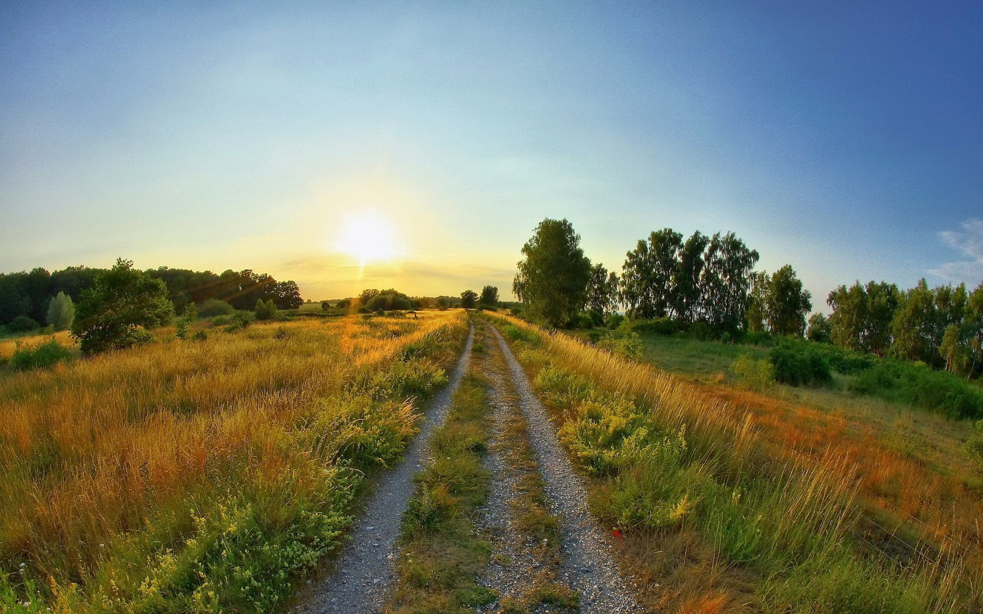 Dirt road through a grassy field at sunset HD Wallpaper