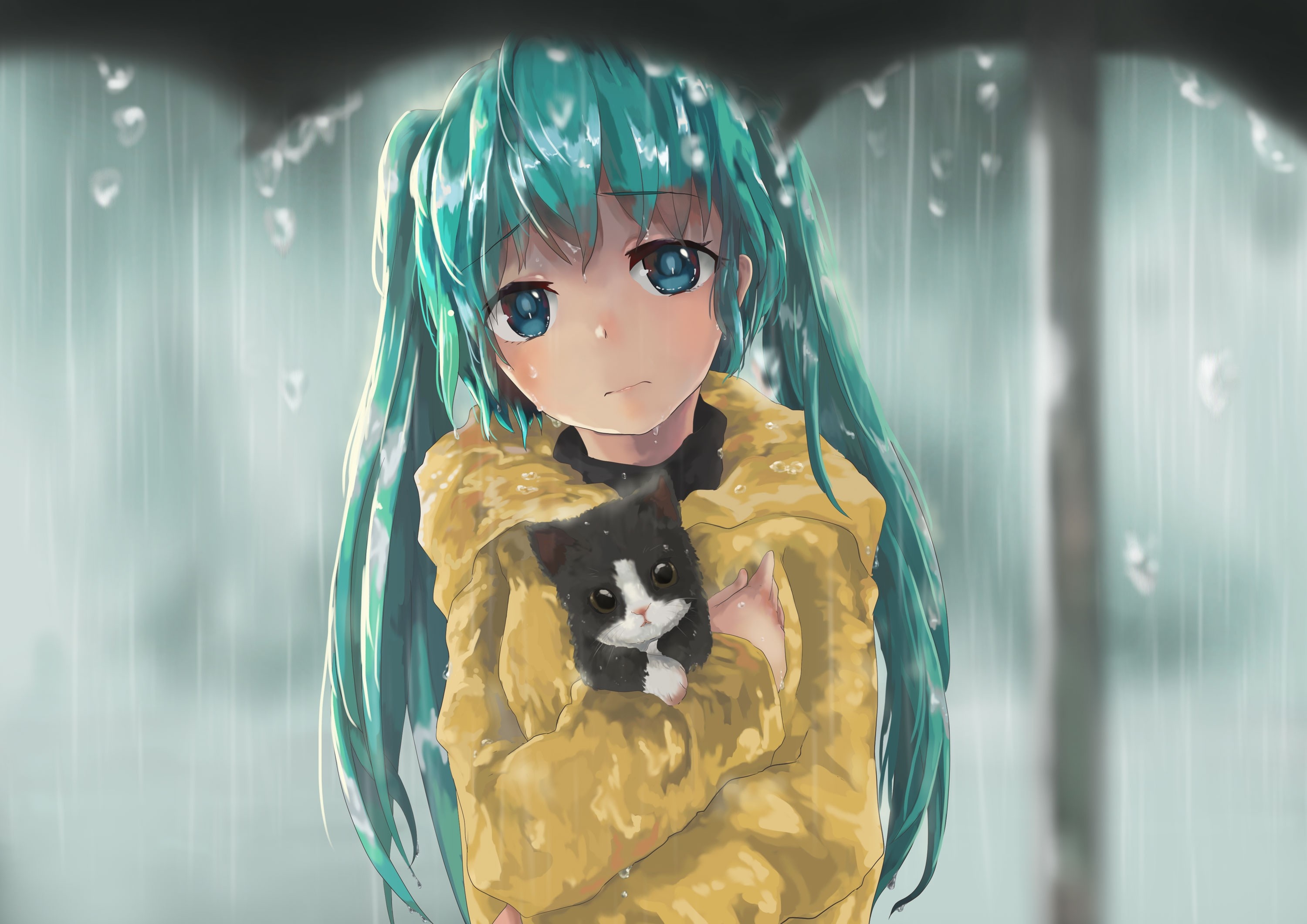 Hatsune Miku holding a cat in the rain HD Wallpaper