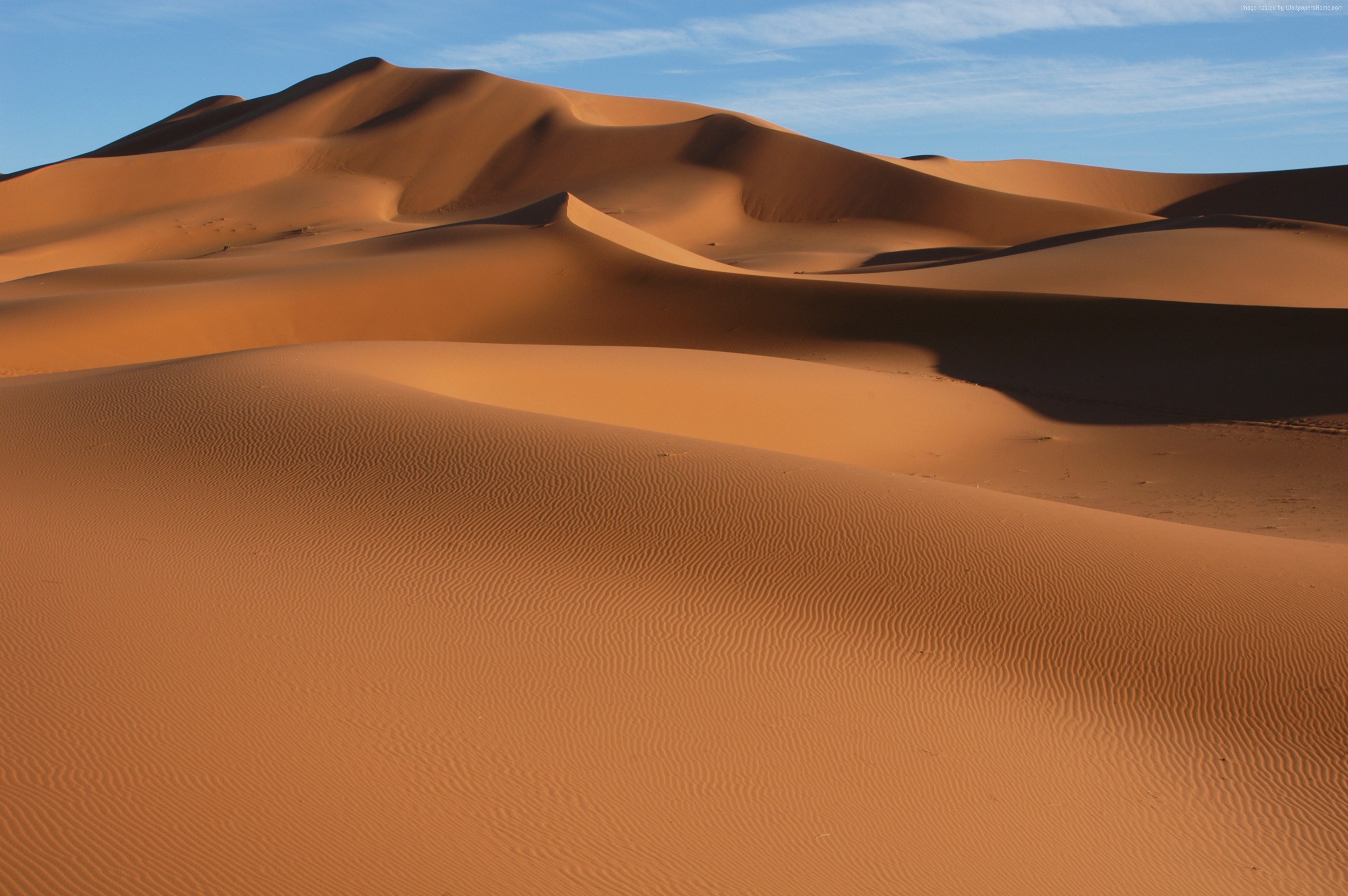 Desert sand dunes under a blue sky HD Wallpaper