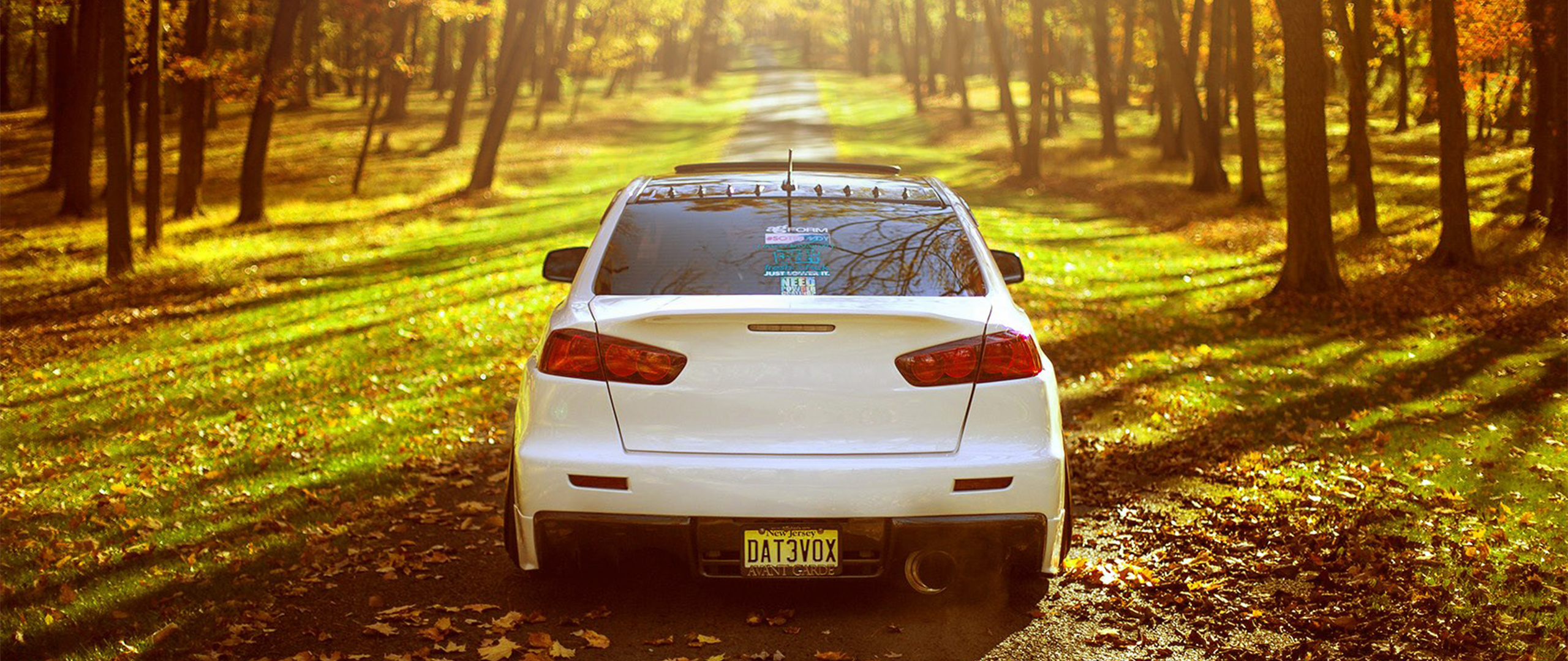White Mitsubishi Lancer EVO on a forest road in autumn HD Wallpaper