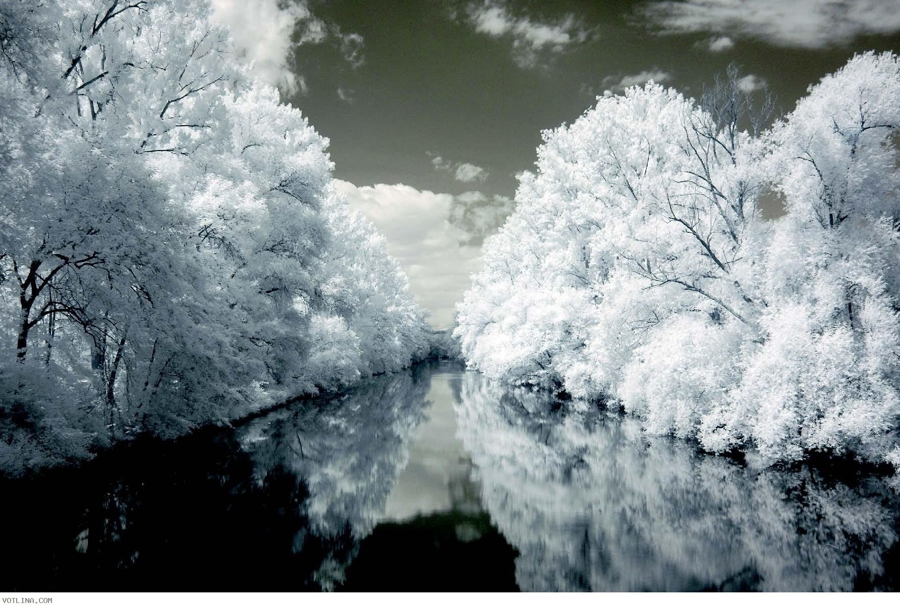 Infrared image of a river lined with snow-covered trees HD Wallpaper