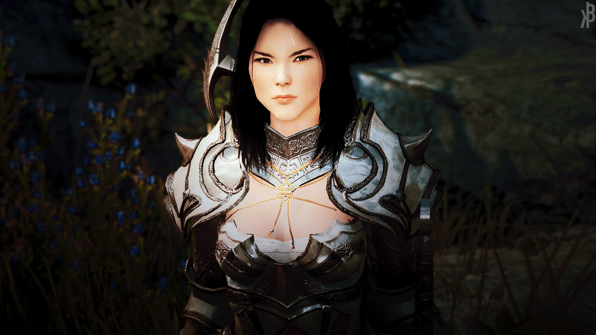 Woman warrior in armor from Black Desert Online HD Wallpaper