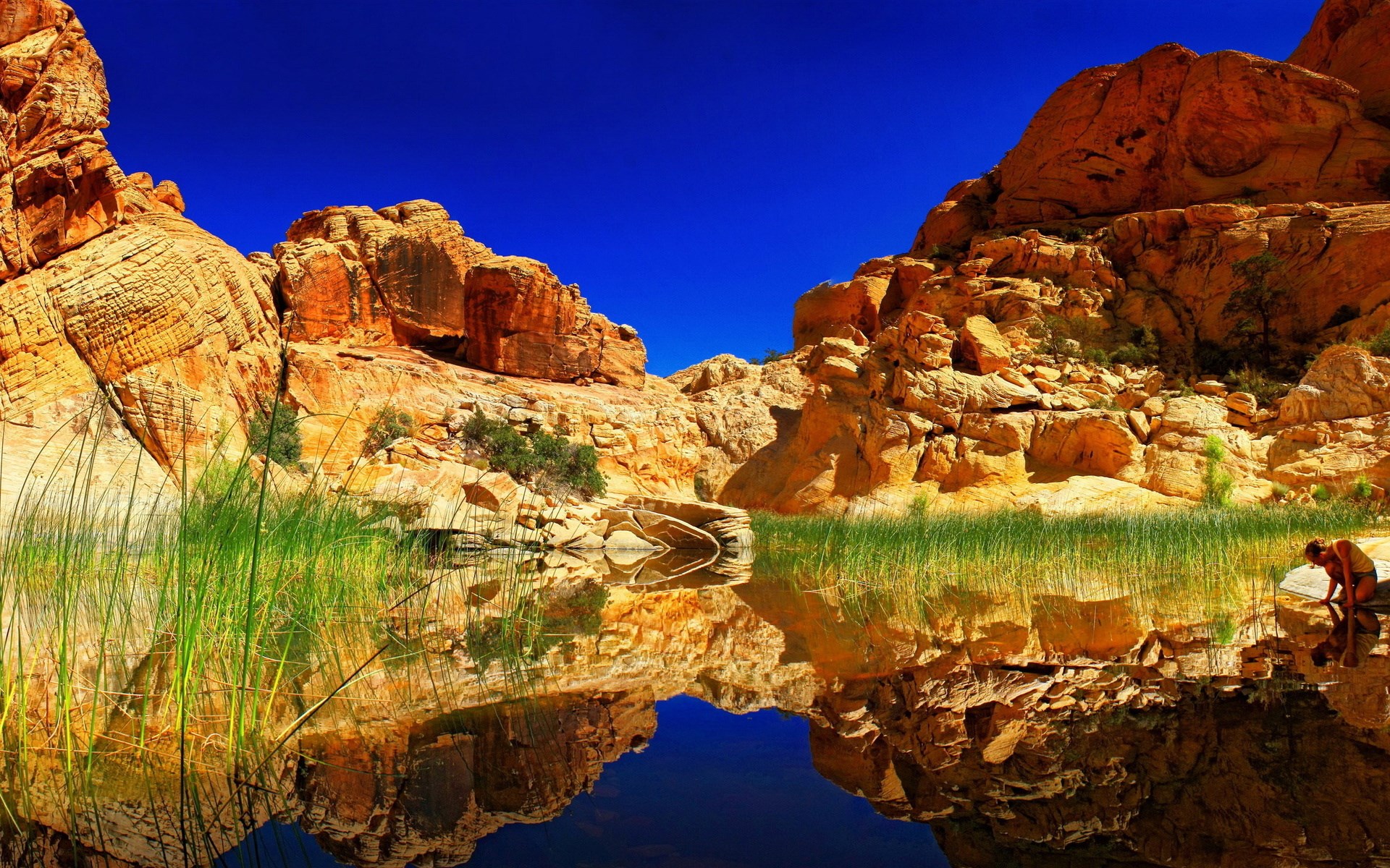 Person by a desert oasis with rock formations HD Wallpaper