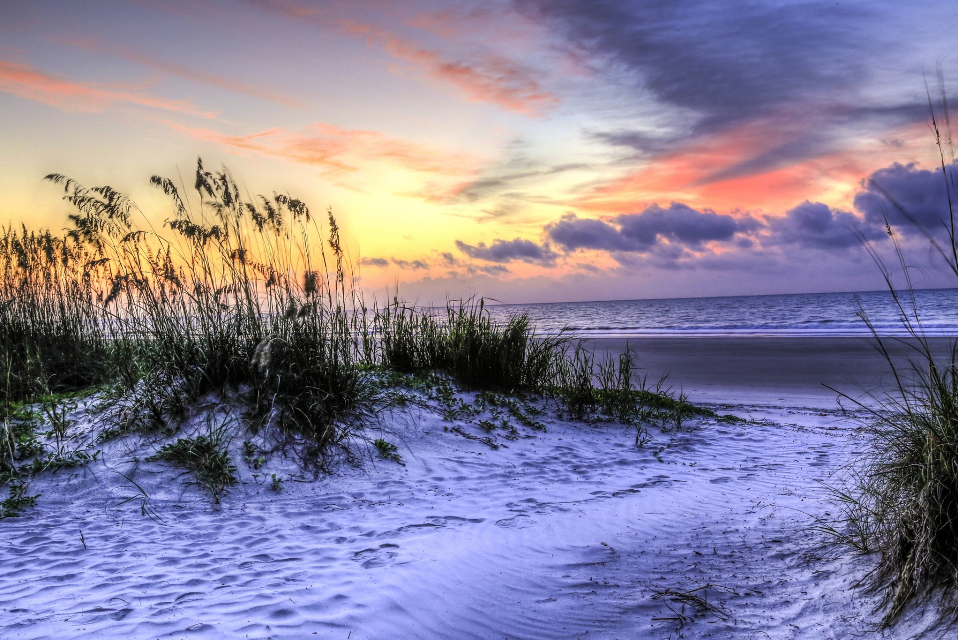 Beach dunes with sea oats at sunset HD Wallpaper