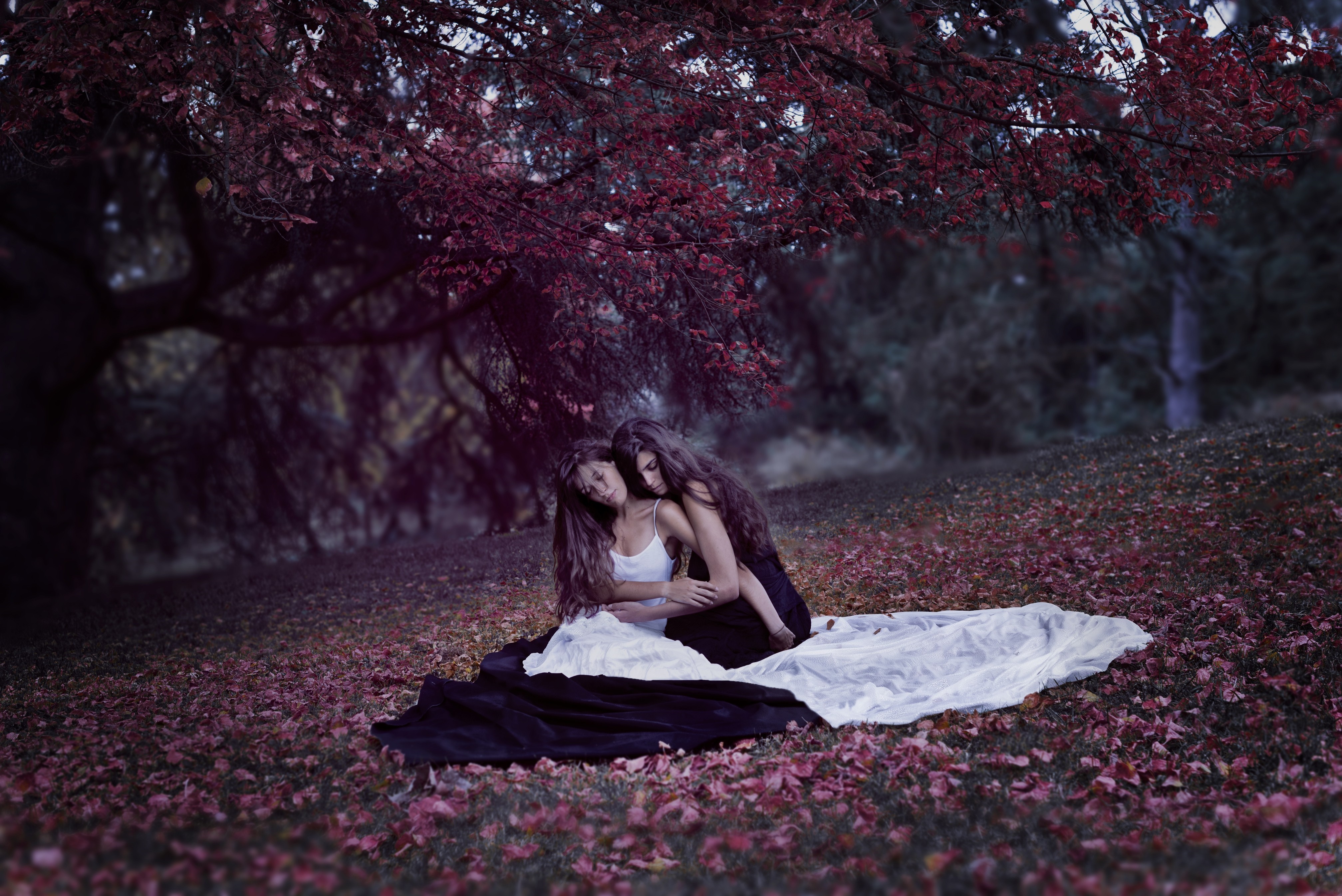 Two women embracing under a tree with red leaves HD Wallpaper