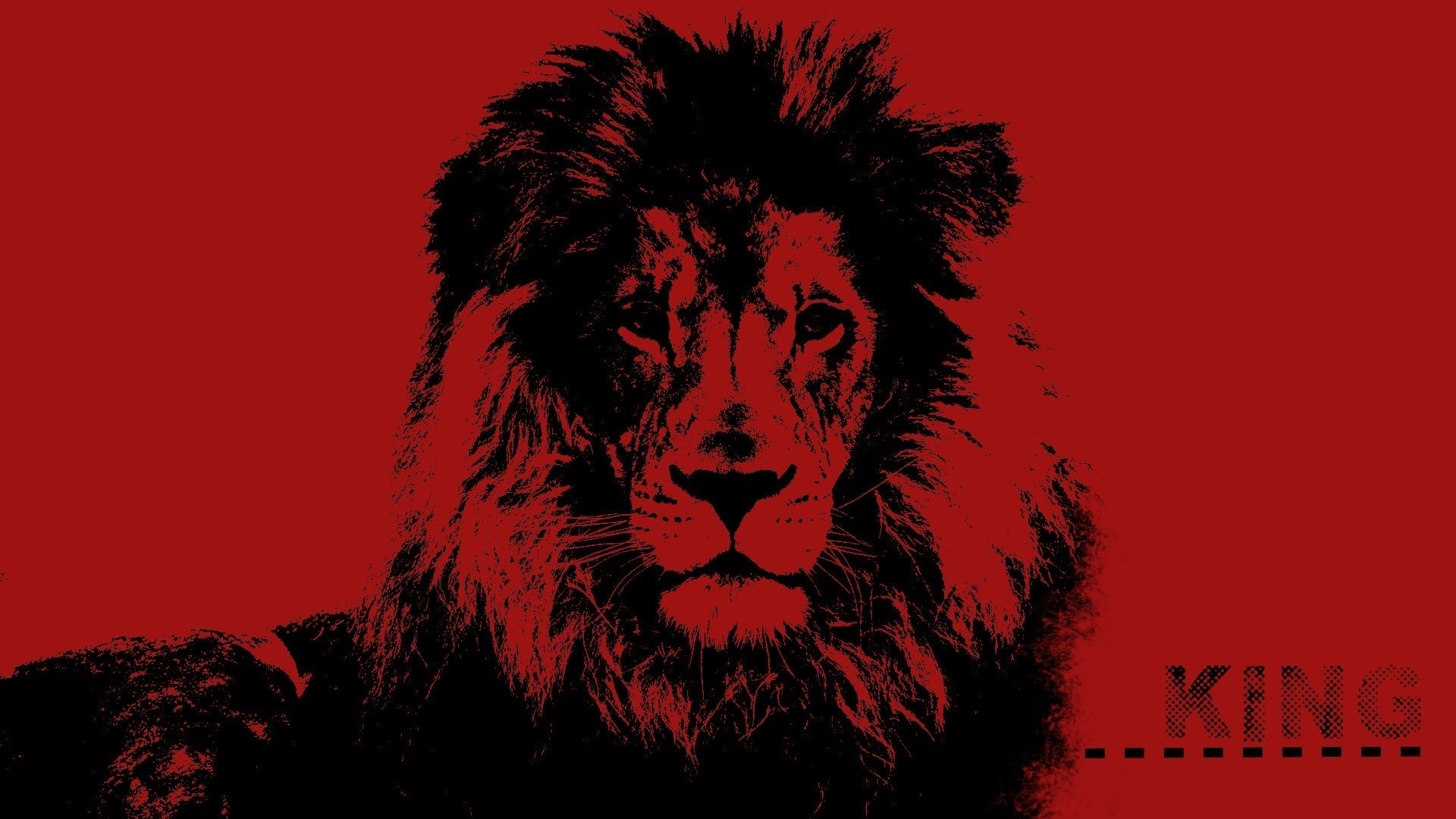Lion illustration with the word KING HD Wallpaper