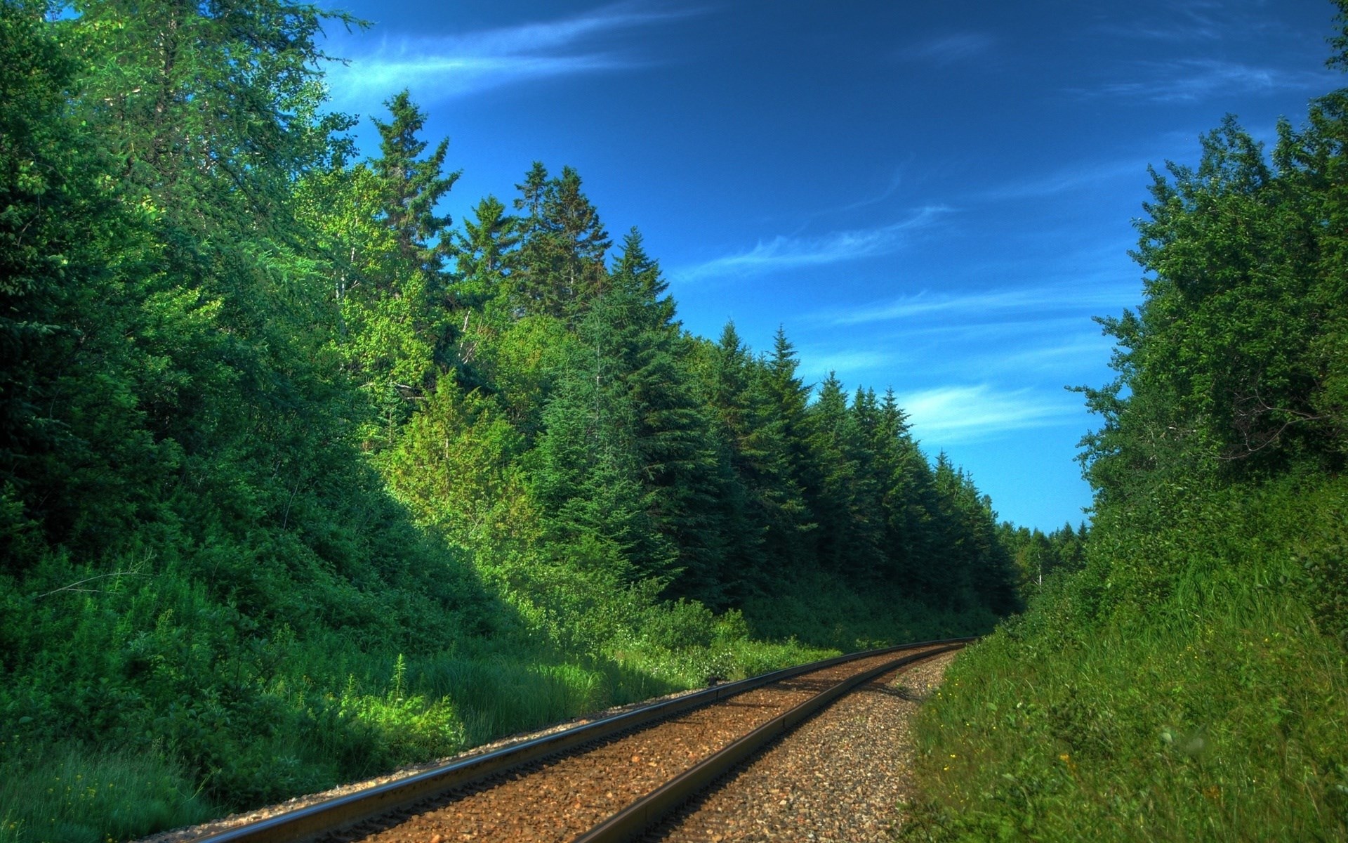 Train tracks curve through a forest under a blue sky HD Wallpaper