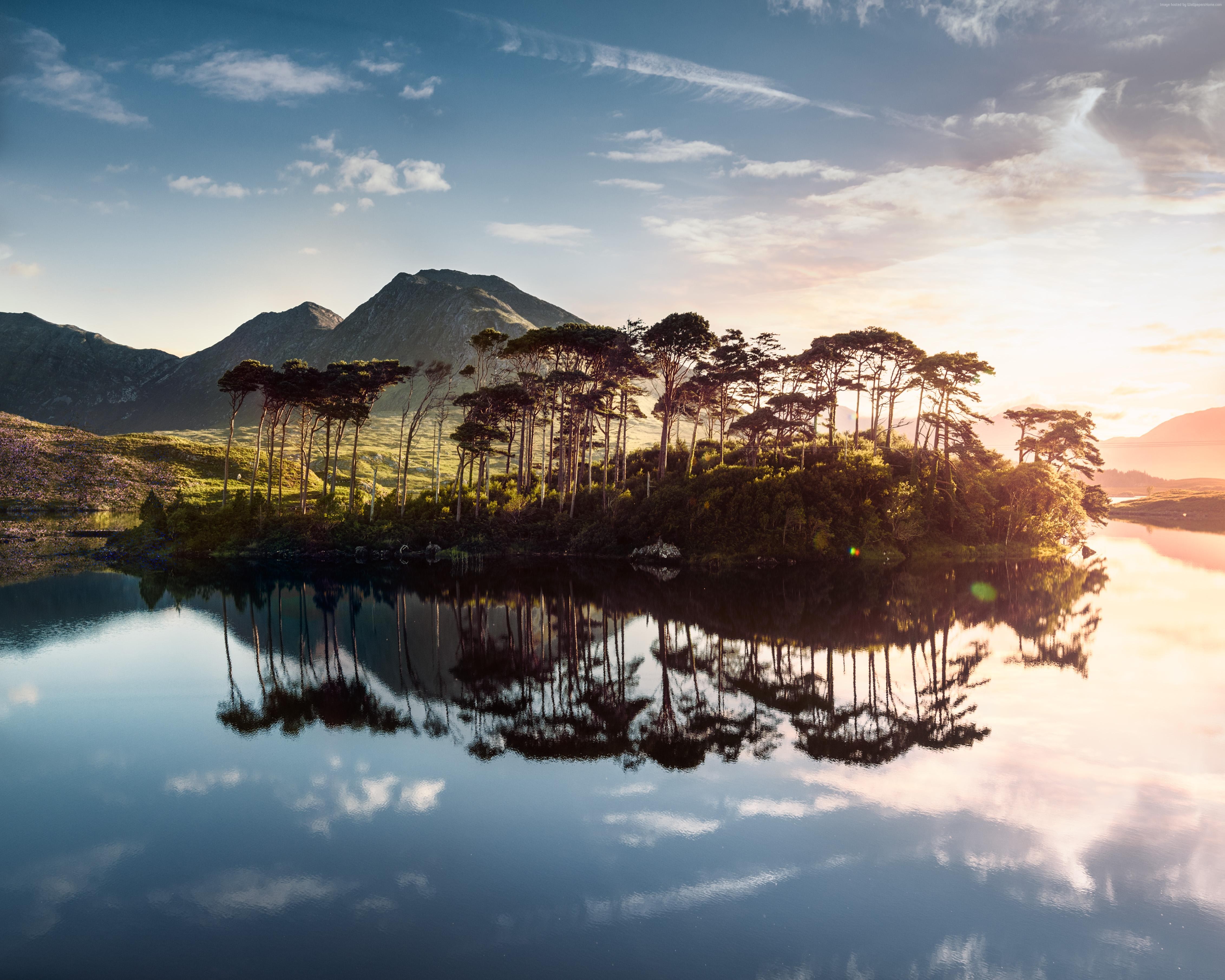 Island with trees in a lake at sunrise, Ireland HD Wallpaper