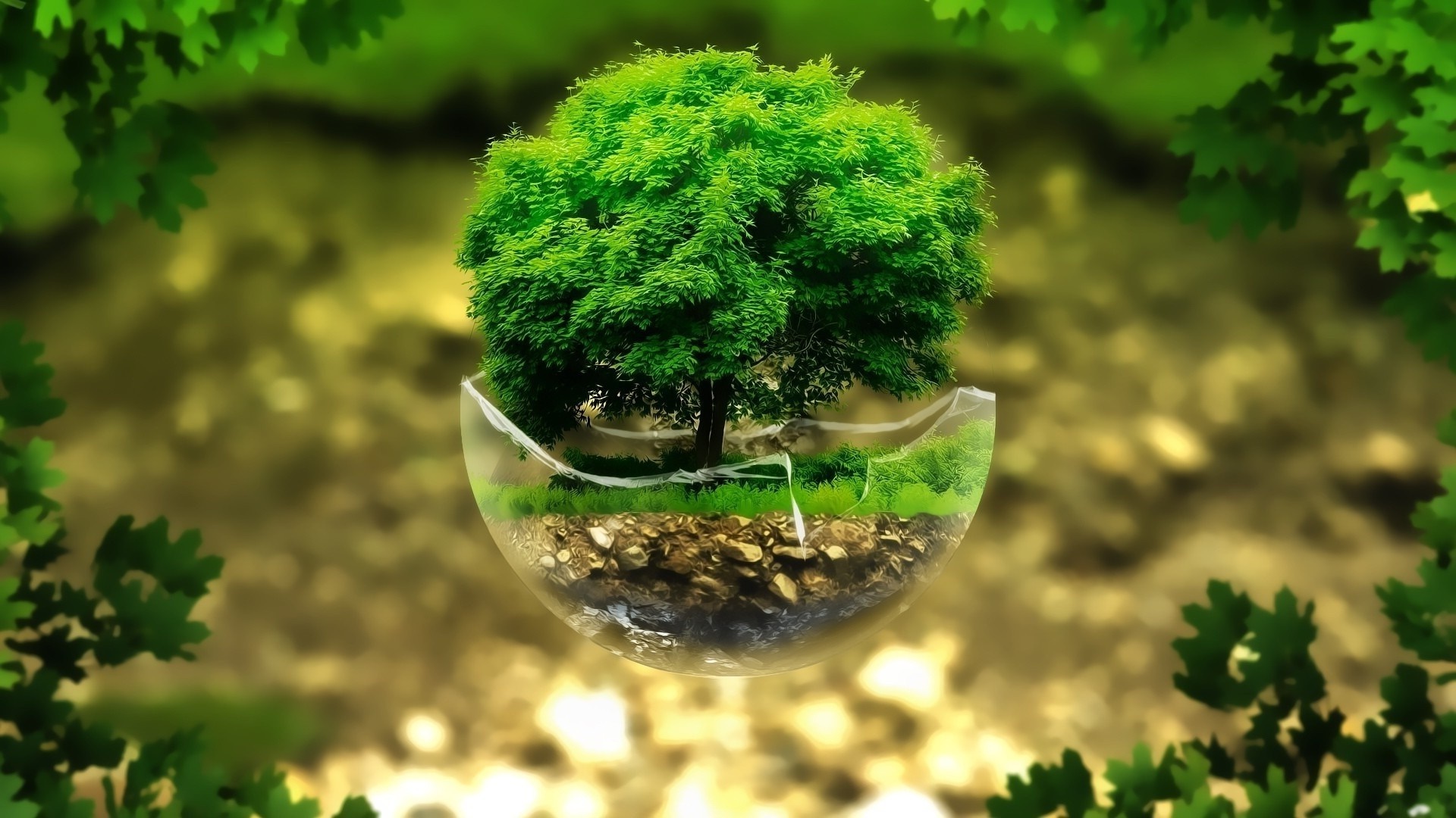 Tree growing in a glass sphere with green leaves HD Wallpaper