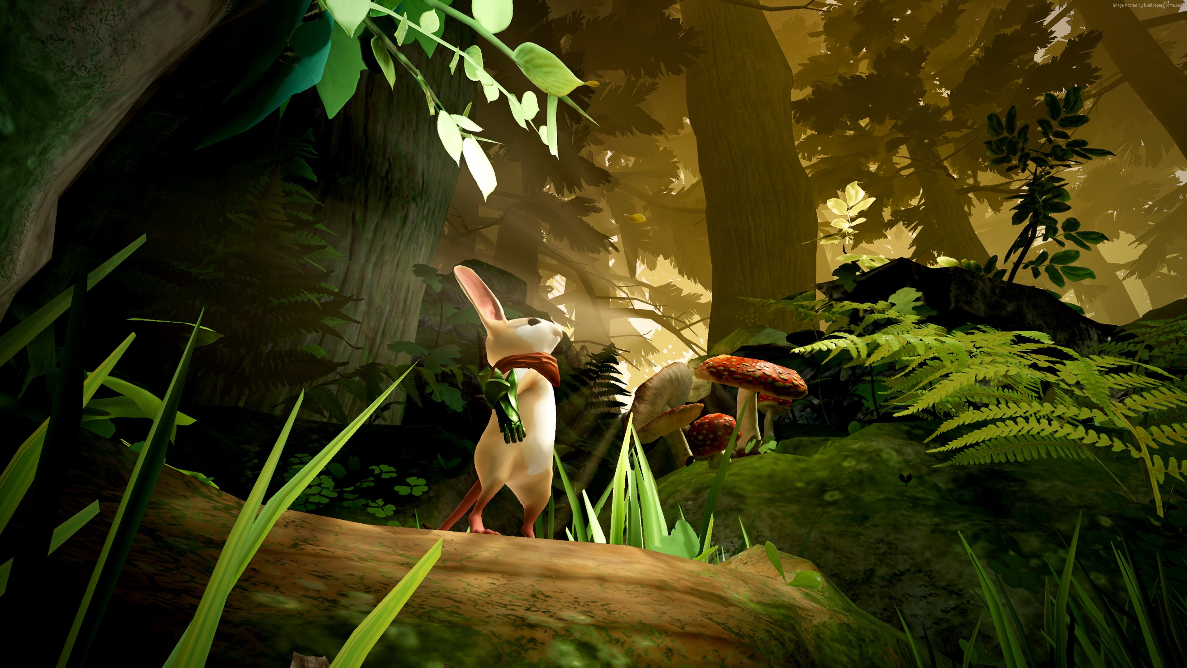 Mouse in a mossy forest with mushrooms HD Wallpaper