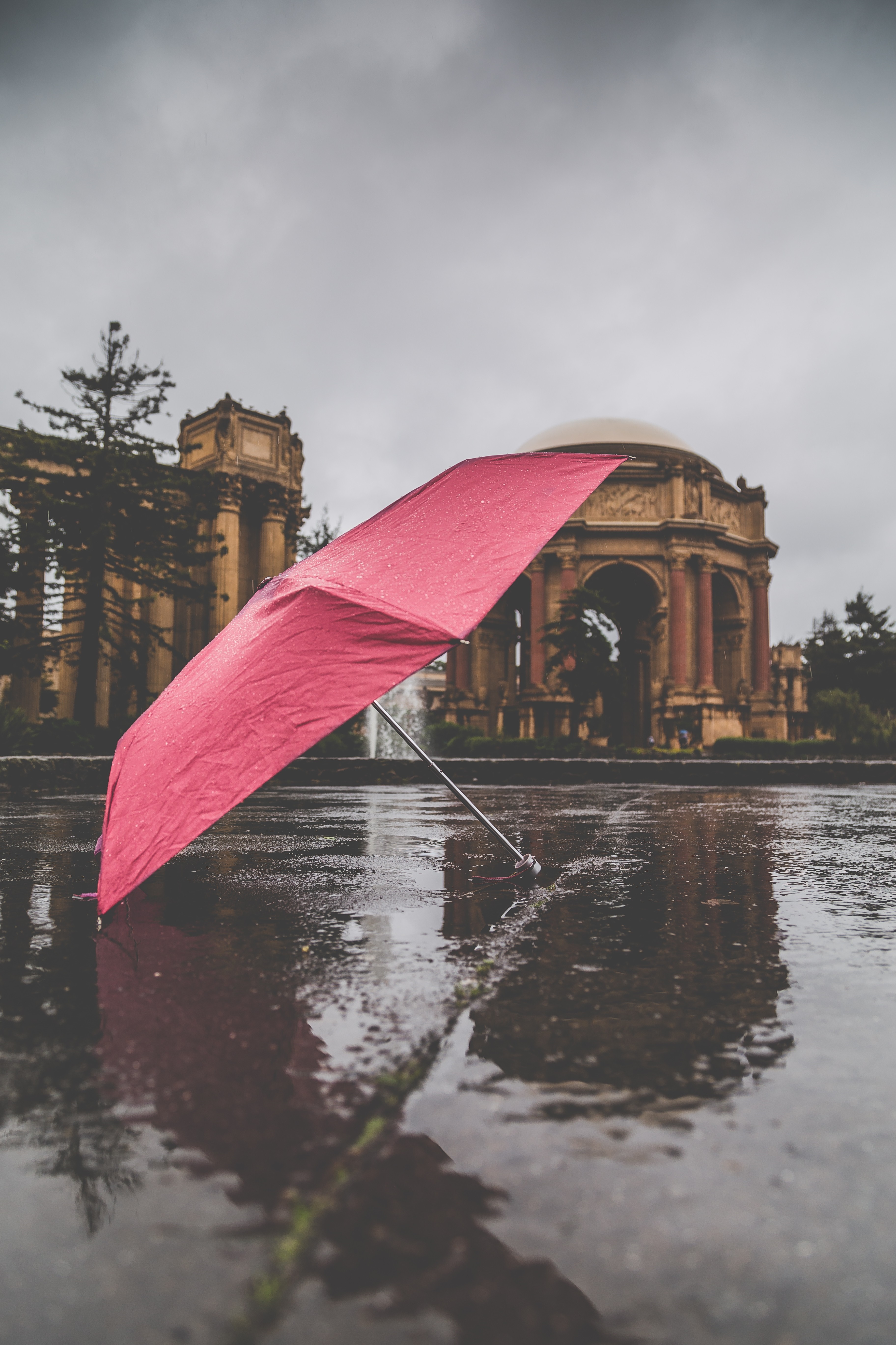 Pink umbrella on wet ground with building reflection HD Wallpaper