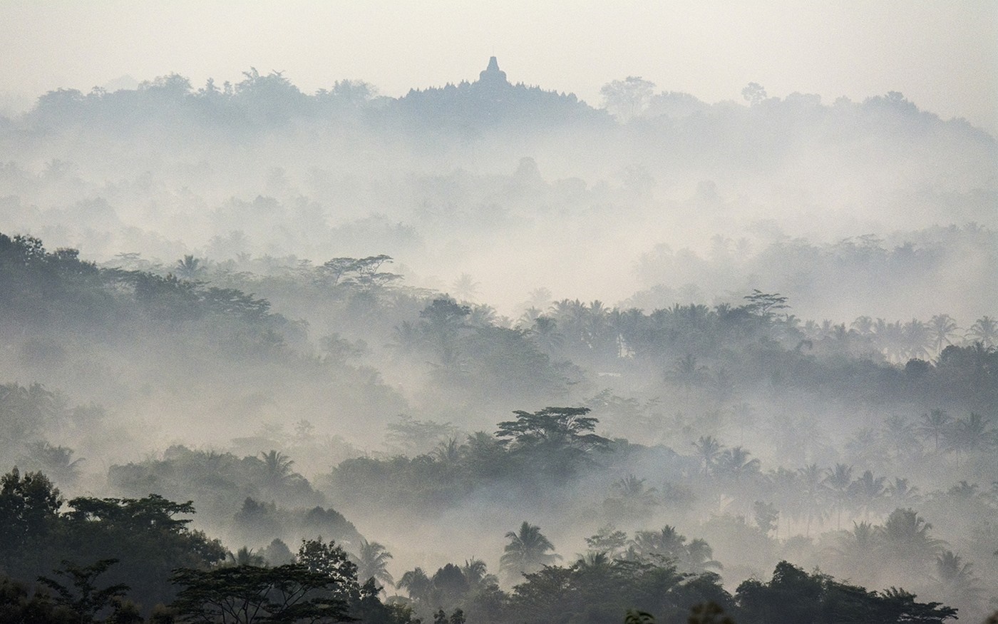 Borobudur Temple in misty tropical forest at sunrise HD Wallpaper