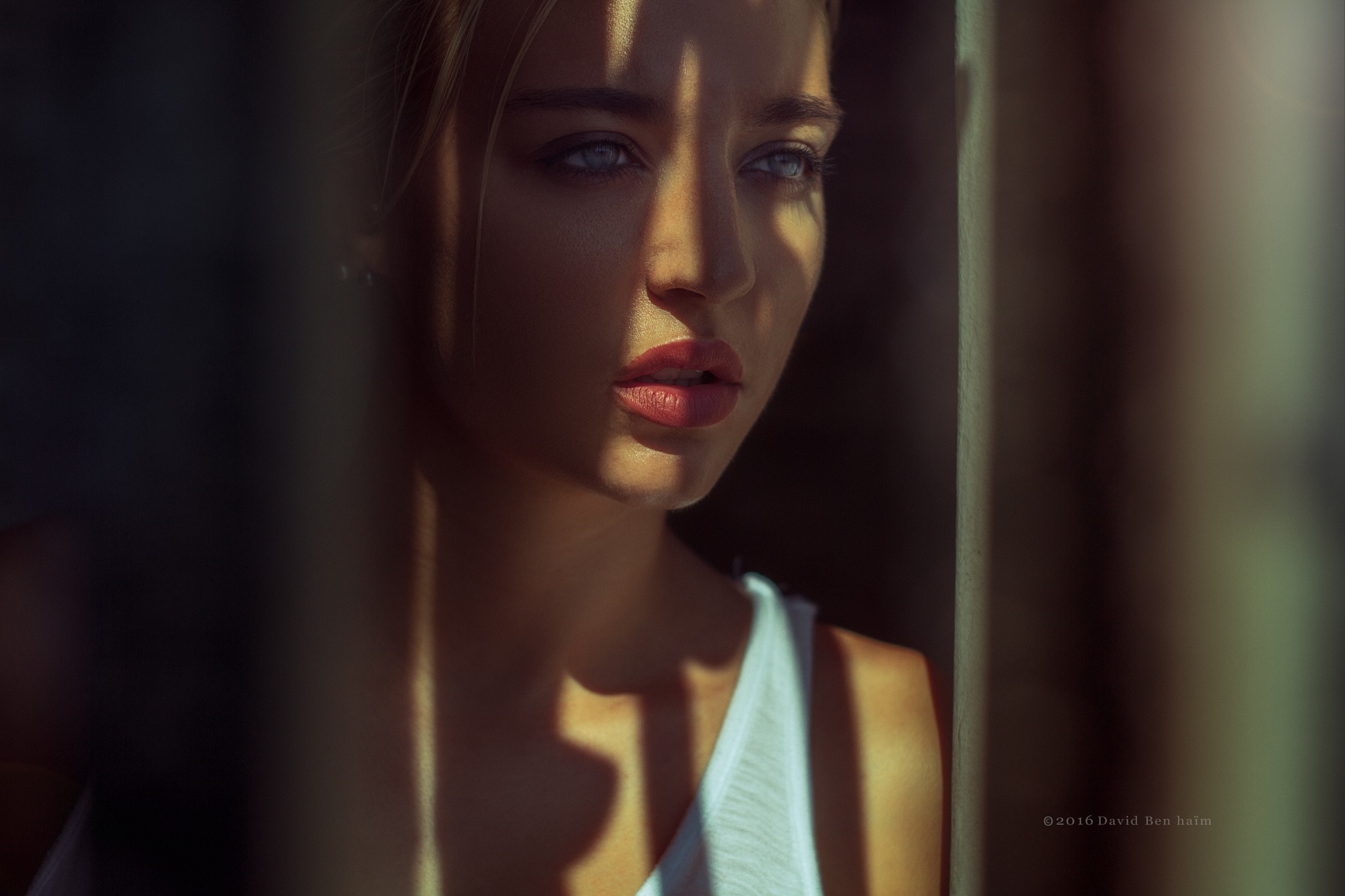 Portrait of Lea Benattia by David Ben Halm HD Wallpaper