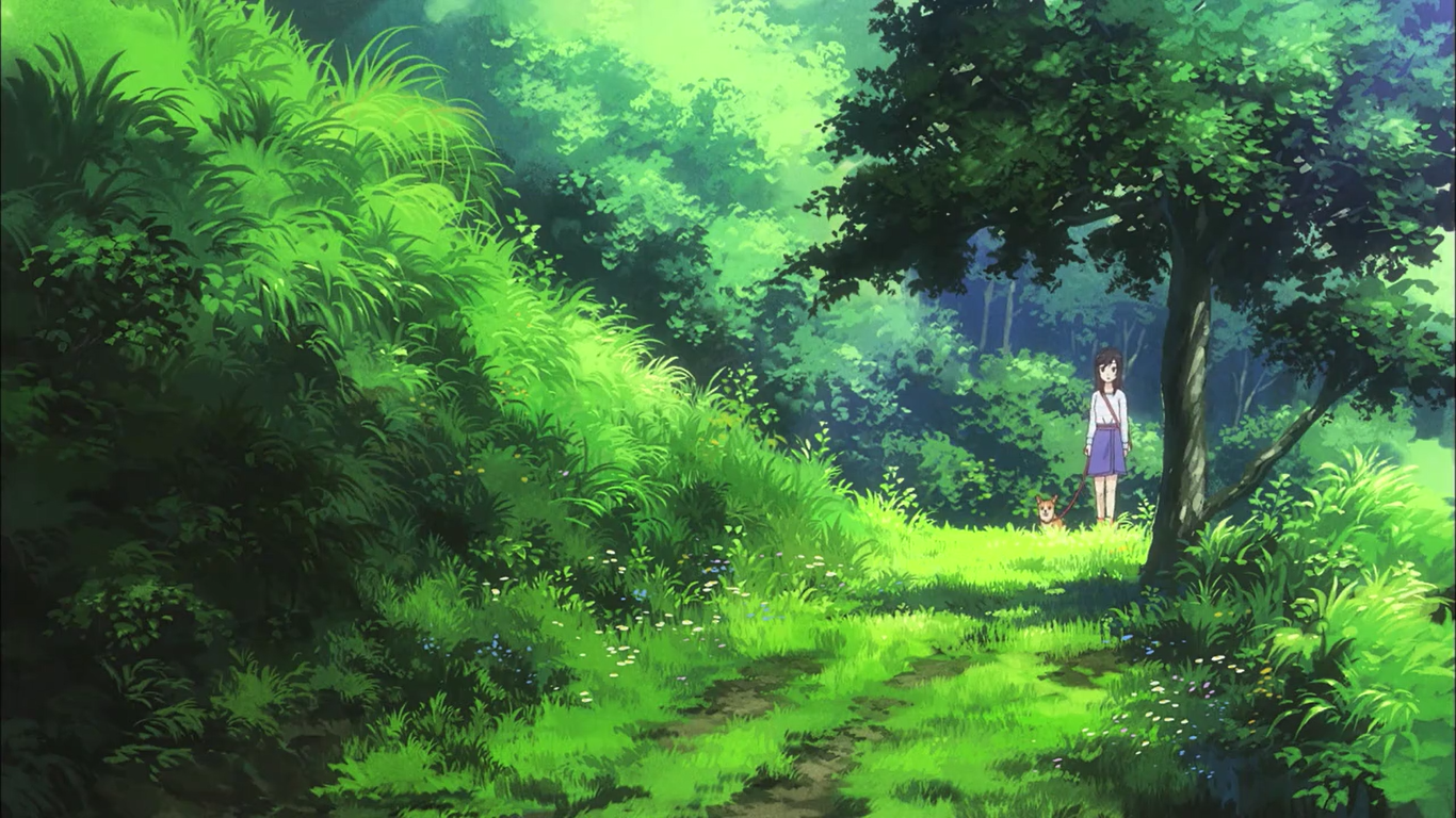 Girl and dog in a sunlit forest HD Wallpaper