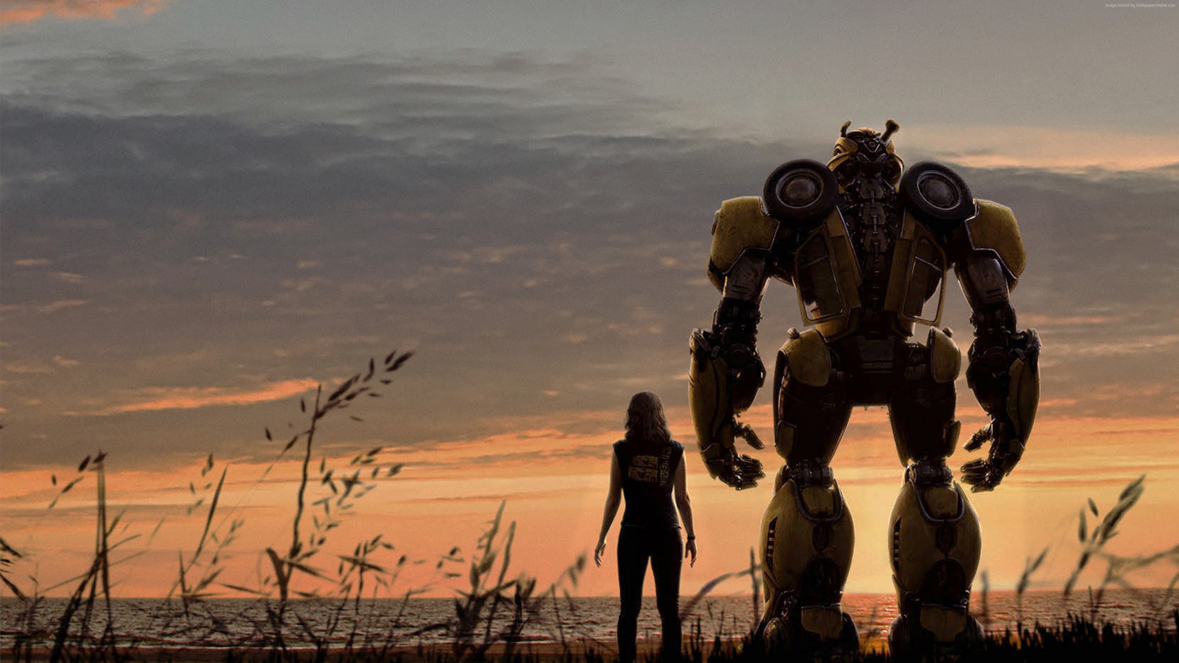 Bumblebee, 5K, Hailee Steinfeld HD Wallpaper