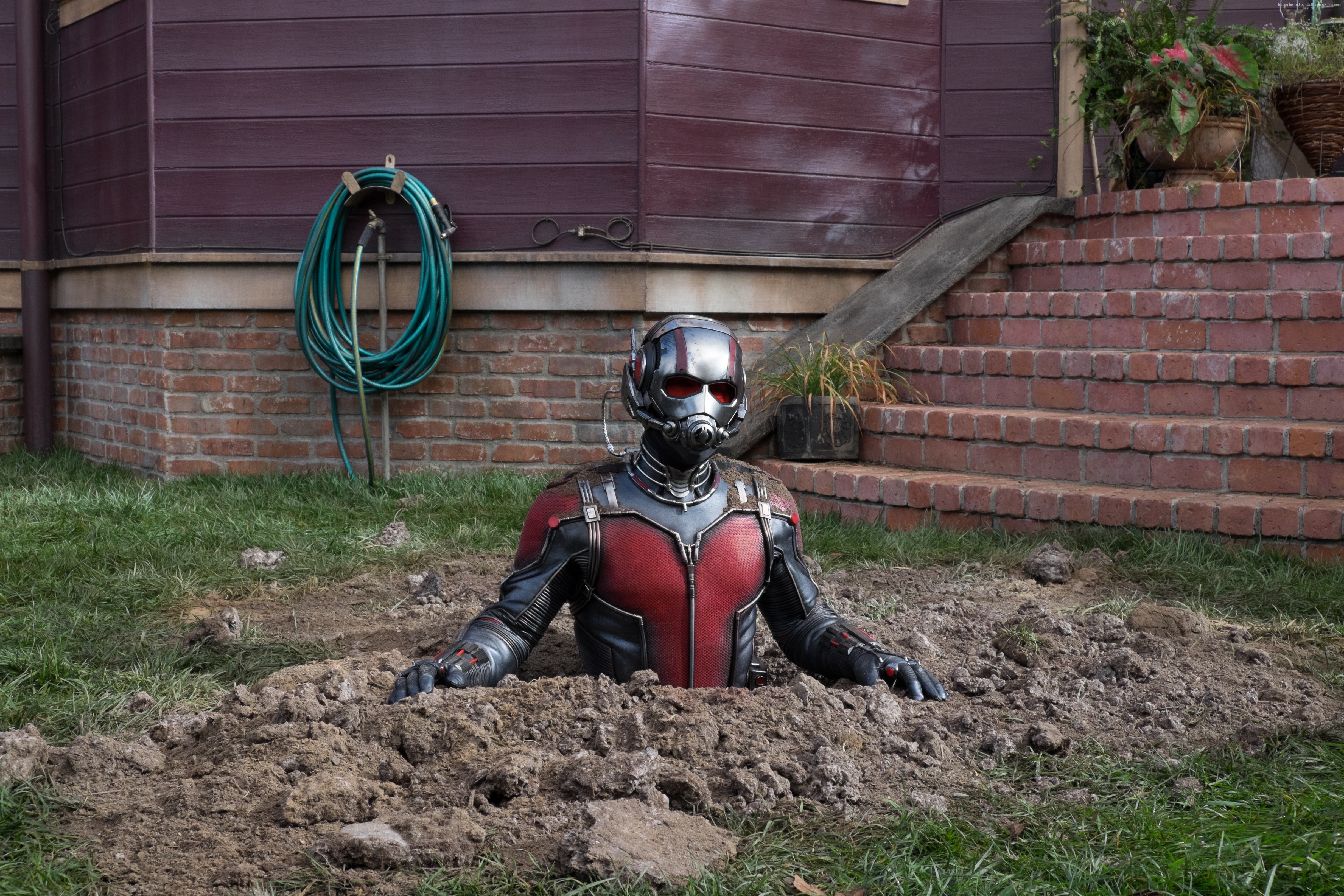 Ant-Man from Ant-Man and the Wasp HD Wallpaper