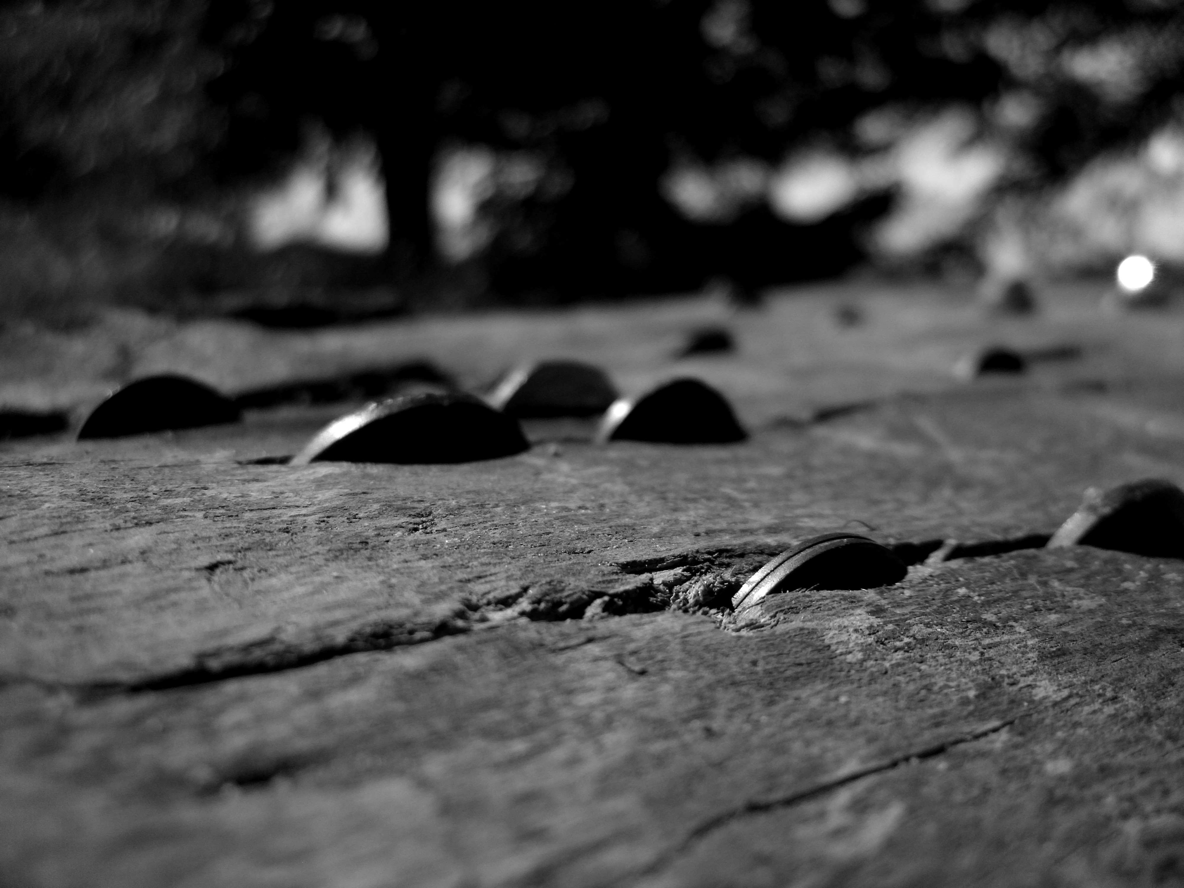 Monochrome macro of coins embedded in a wooden surface HD Wallpaper