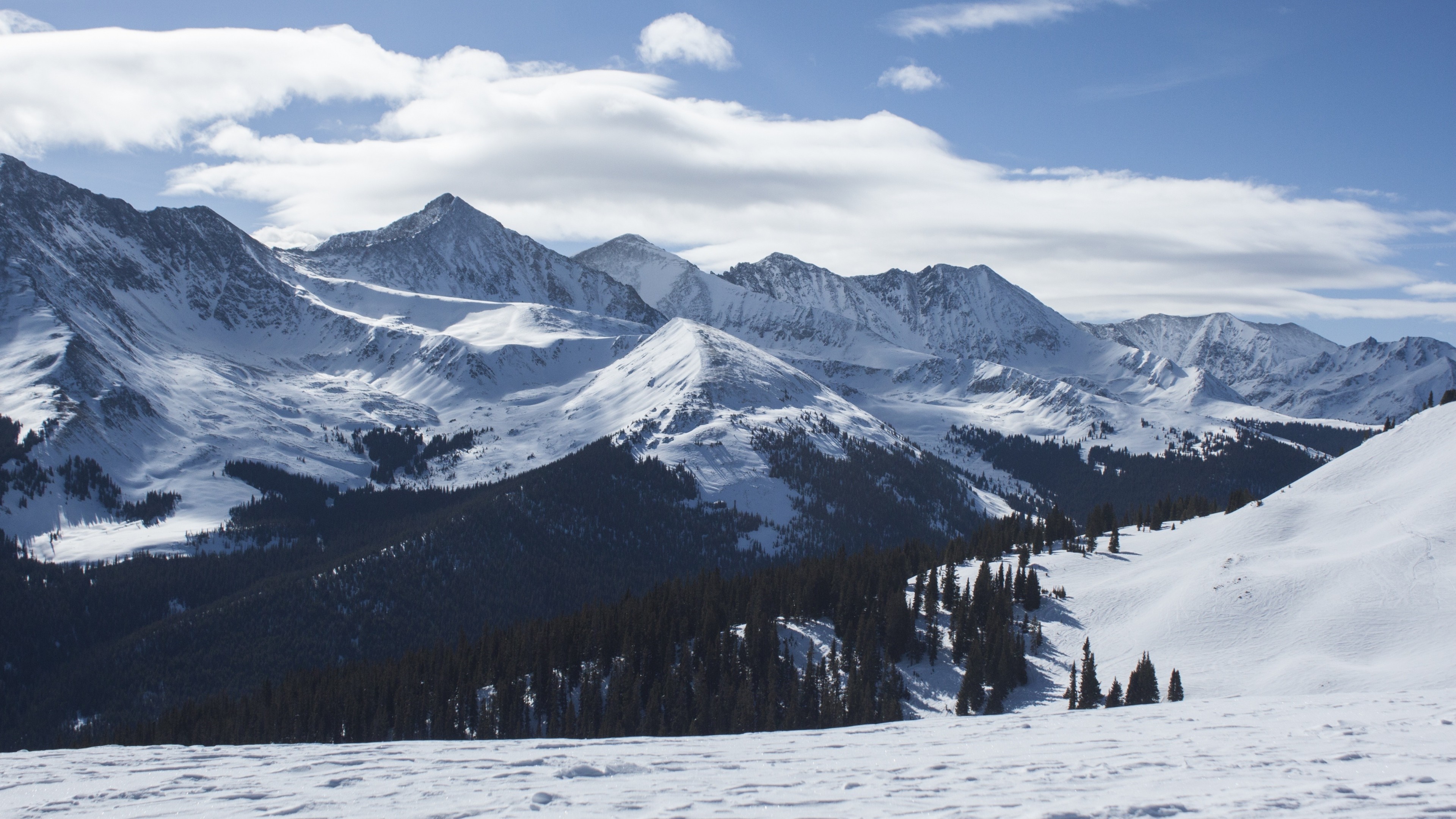 Snow-covered mountains with pine forest and blue sky HD Wallpaper