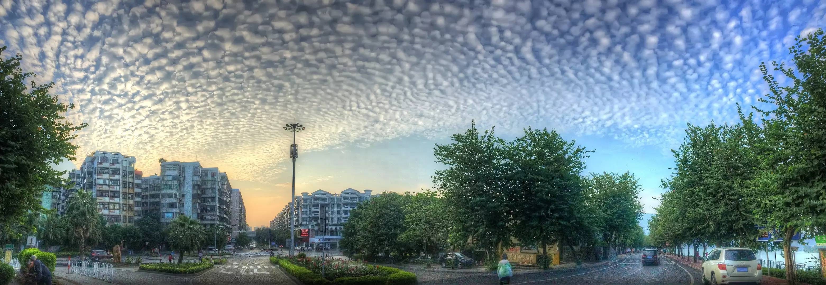 Cityscape with unique cloud formations and trees HD Wallpaper