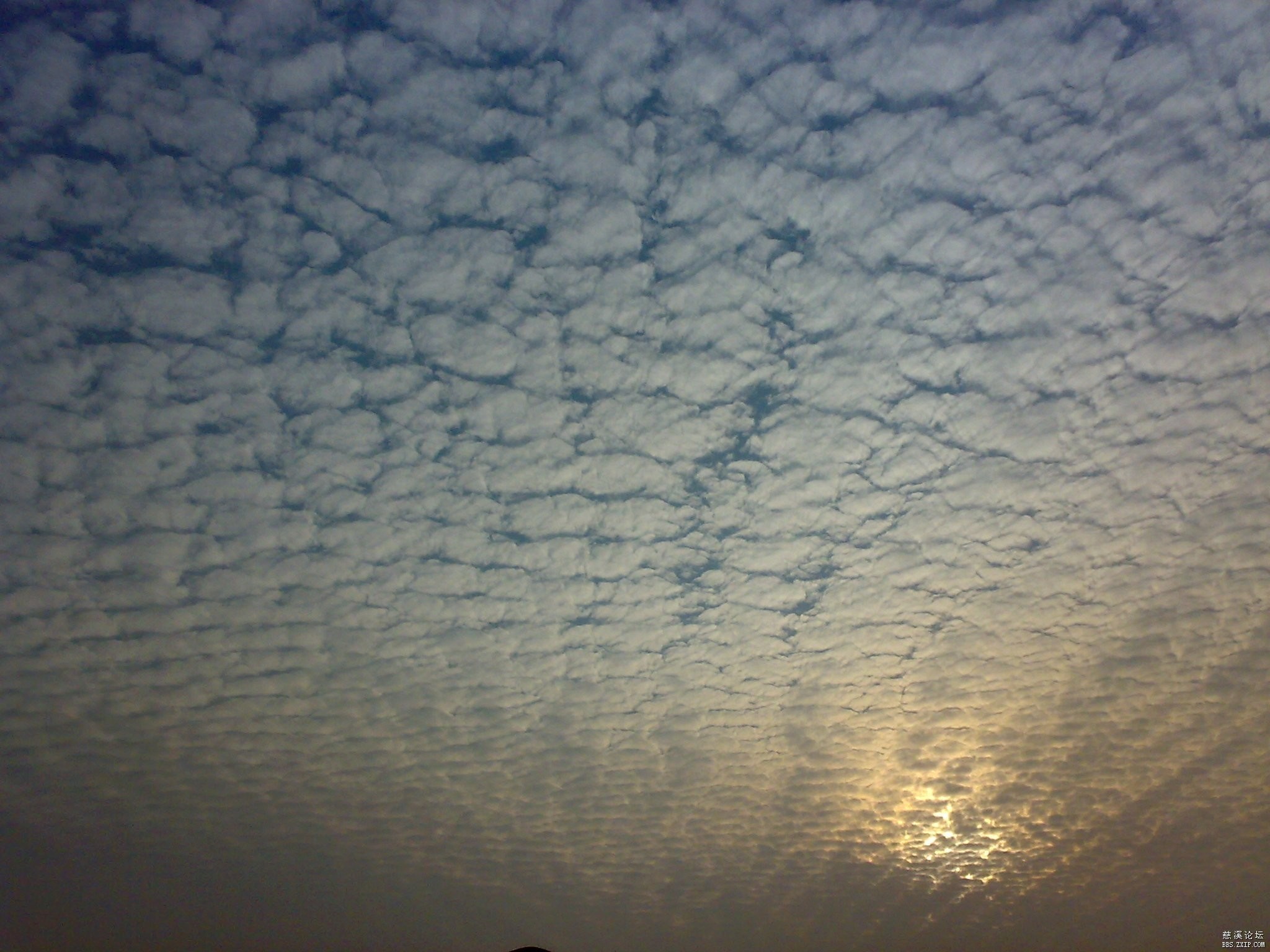 Altocumulus clouds at sunset with sunbeams HD Wallpaper