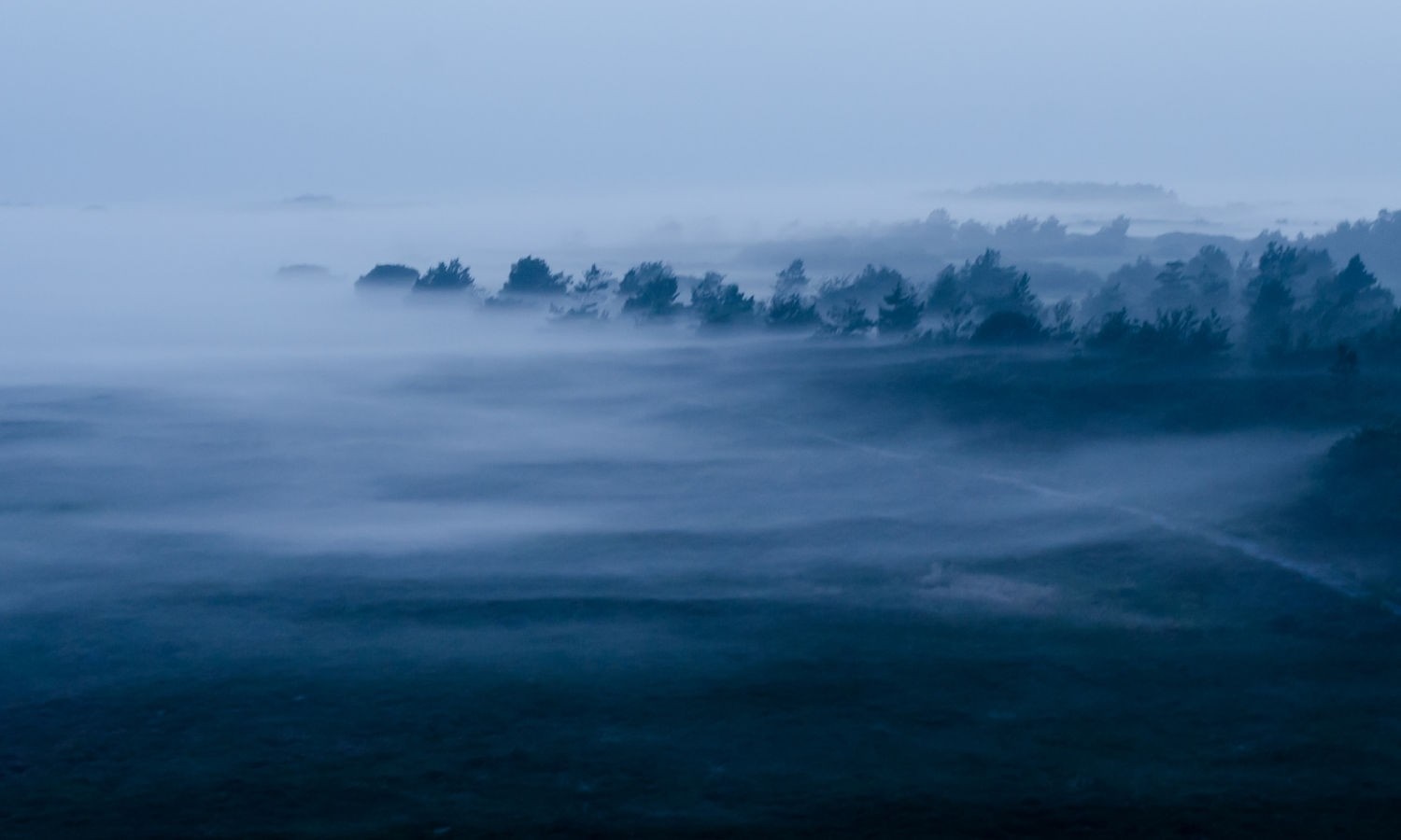 Misty landscape with trees and fog over water HD Wallpaper