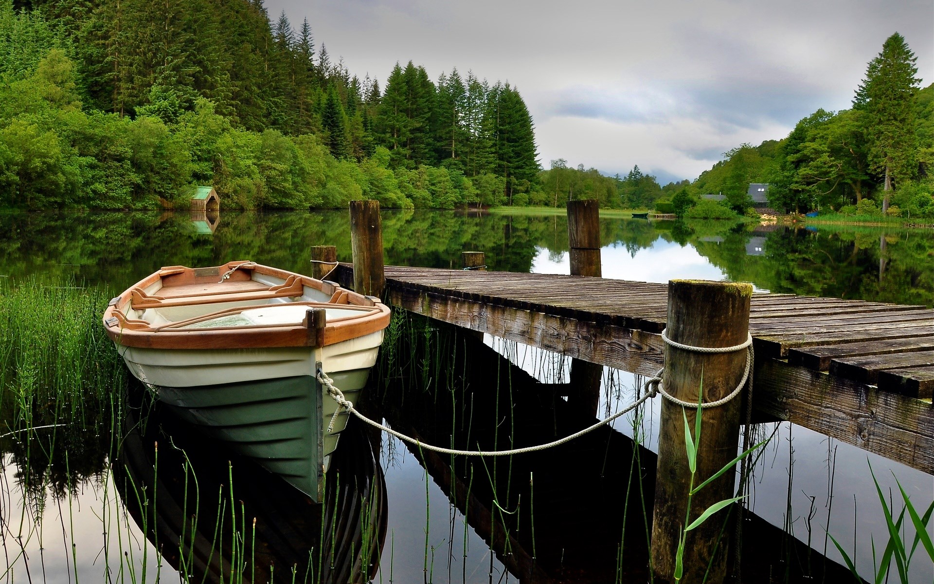 Boat docked on a lake with forest reflection HD Wallpaper