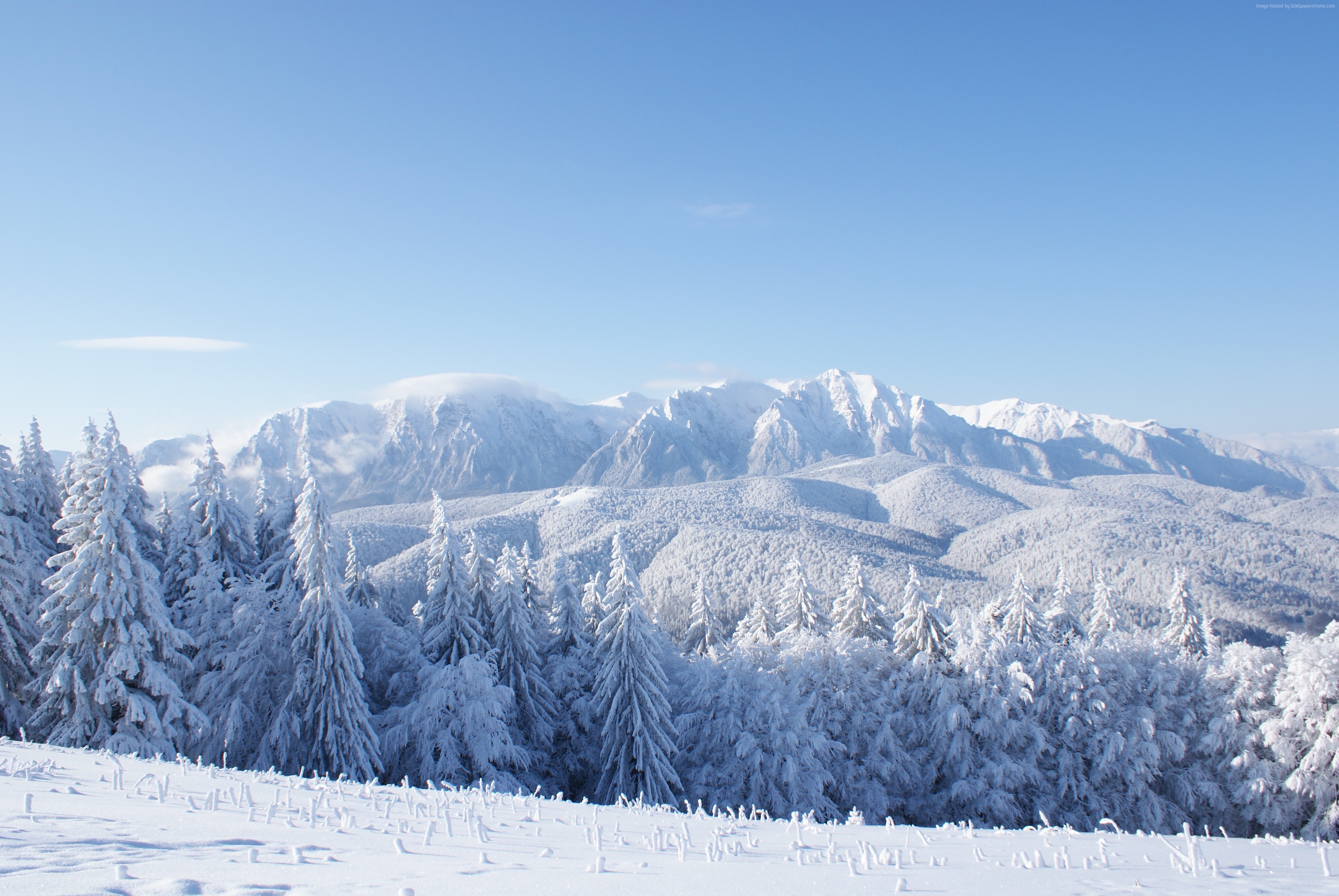 Snow-covered mountains and forest in winter HD Wallpaper