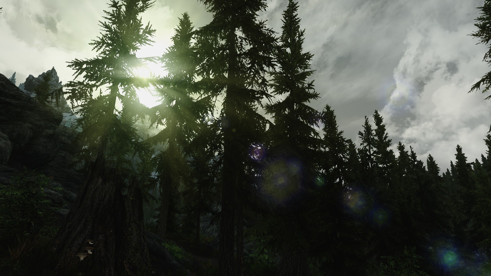 Sunlight filtering through trees in The Elder Scrolls V Skyrim HD Wallpaper