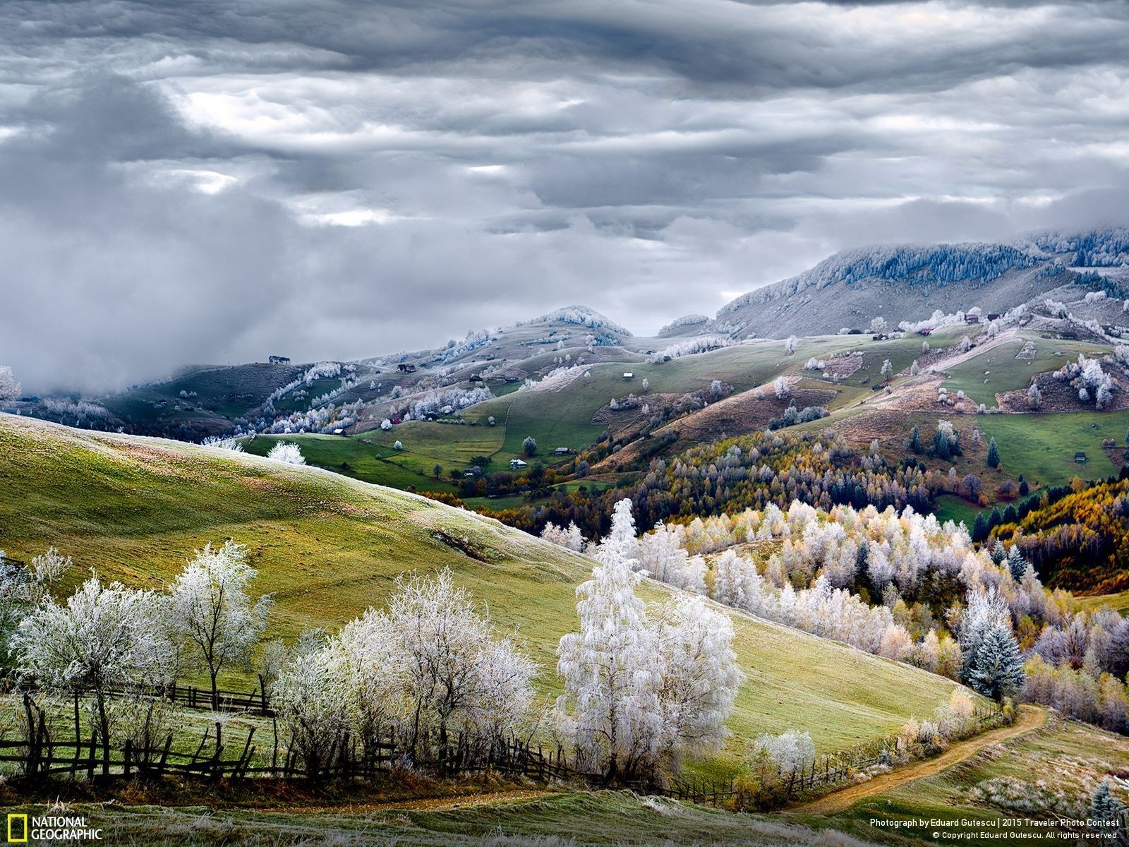 Frosty trees and rolling hills under cloudy sky HD Wallpaper