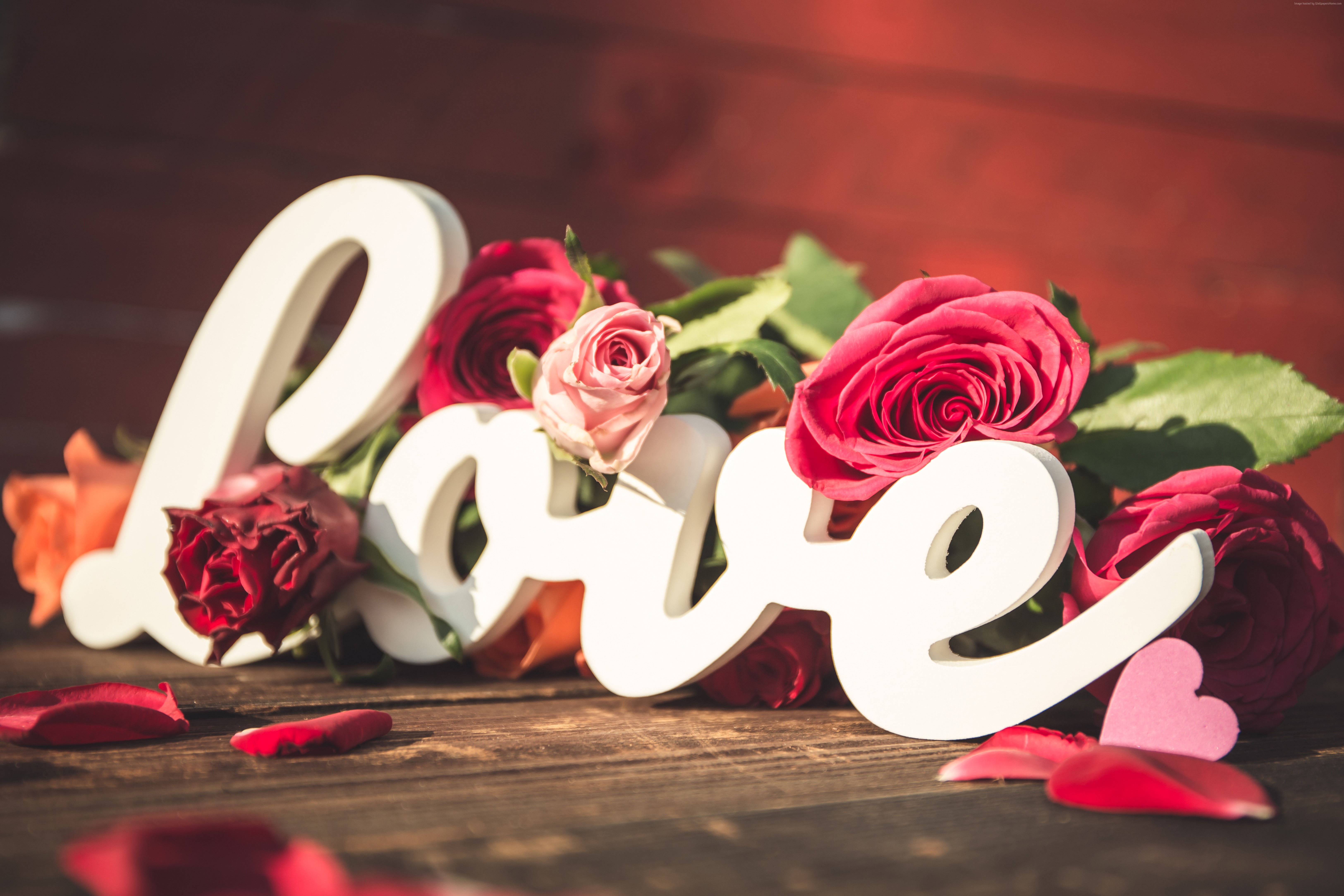 White "Love" sign with roses and petals HD Wallpaper
