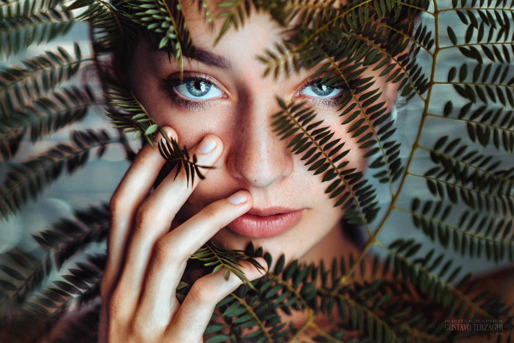 Woman with blue eyes behind green fern leaves HD Wallpaper