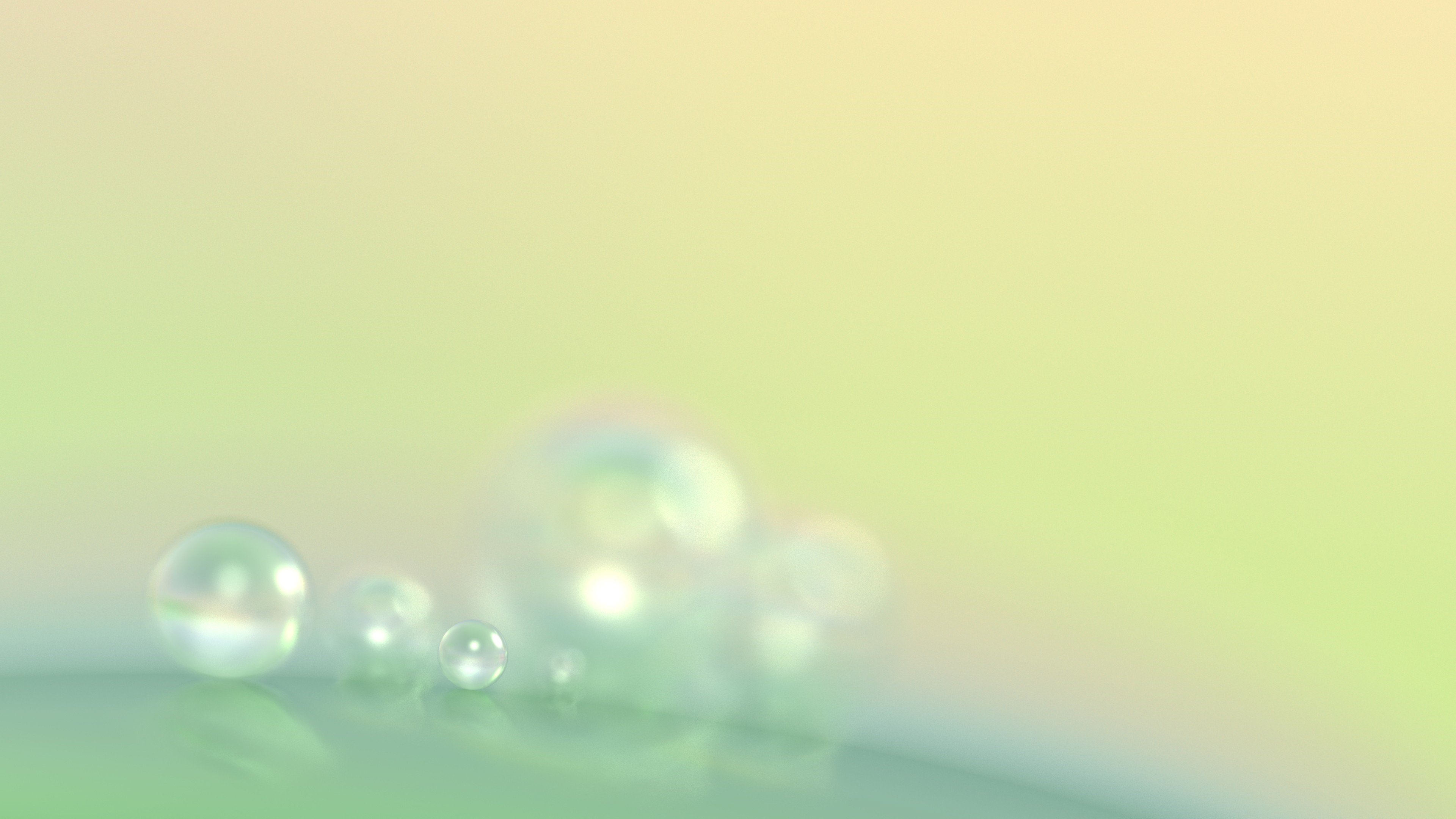 Close-up of iridescent bubbles on a green surface HD Wallpaper