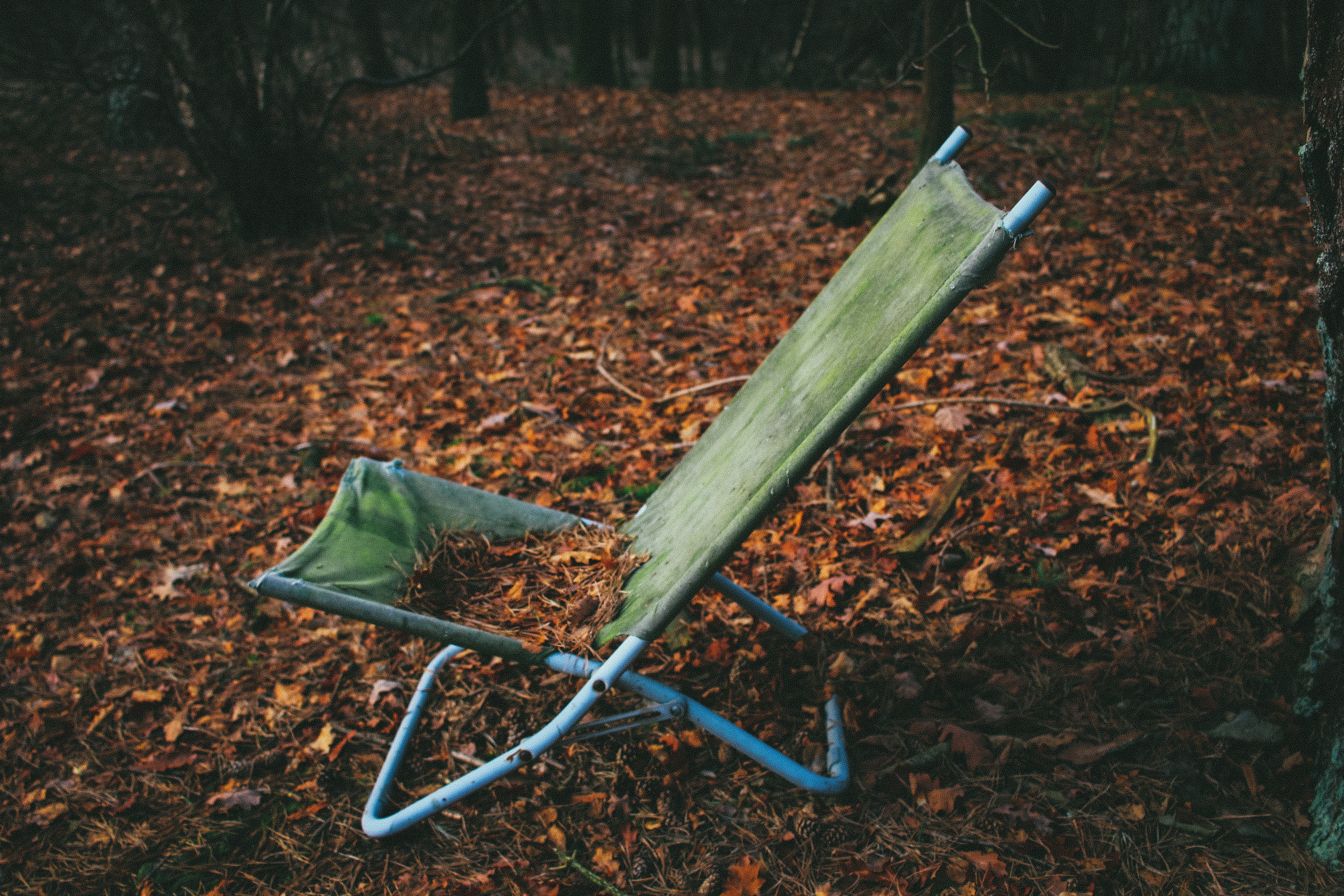 Abandoned chair in a forest during autumn HD Wallpaper