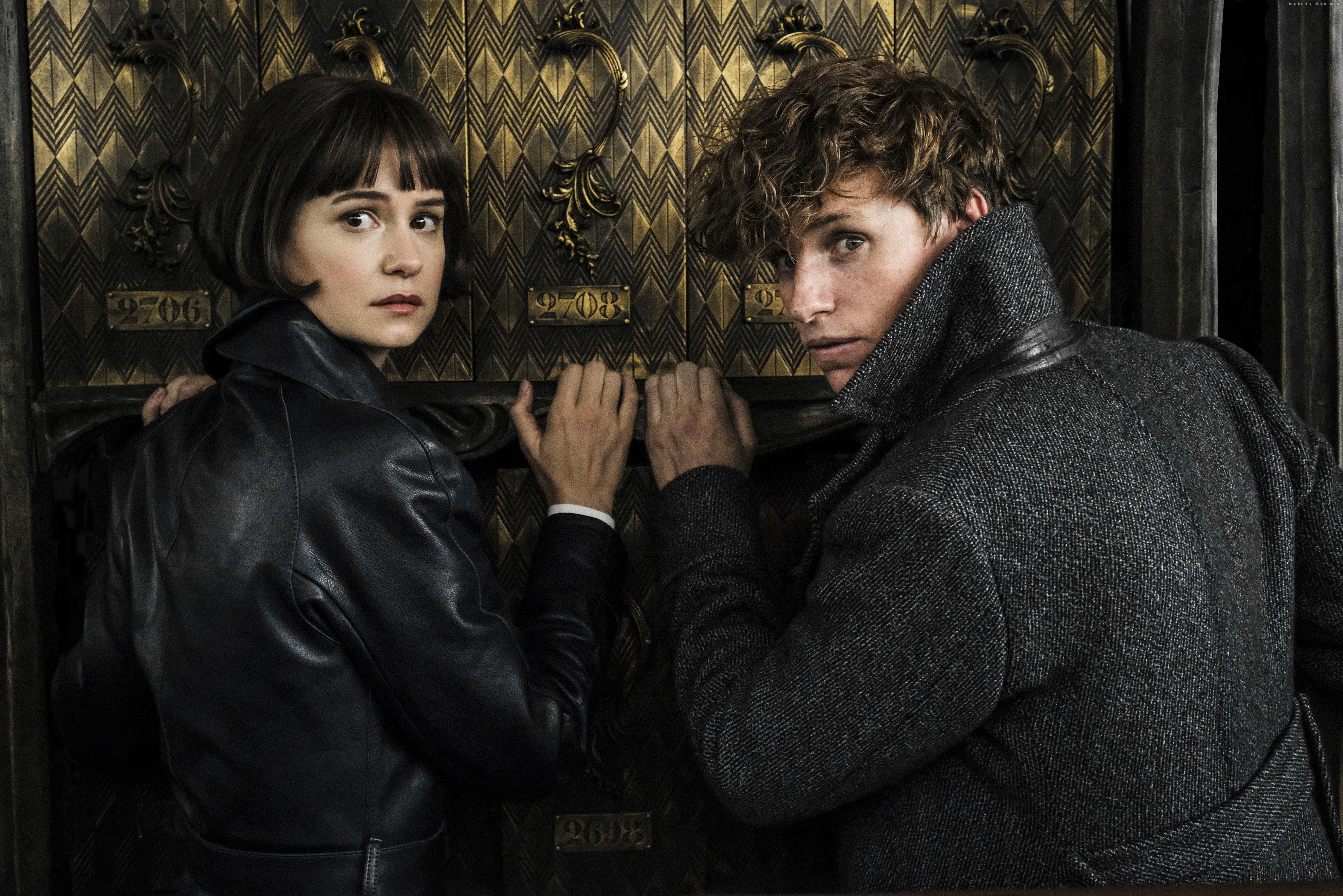 Katherine Waterston and Eddie Redmayne from Fantastic Beasts HD Wallpaper
