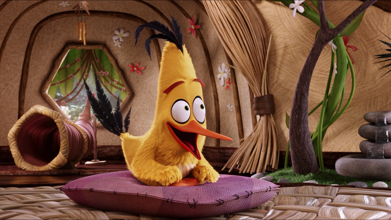 Chuck from The Angry Birds Movie sitting on a pillow HD Wallpaper