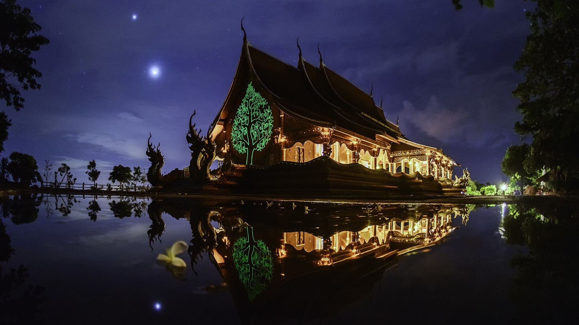 Temple with glowing tree reflection at night HD Wallpaper