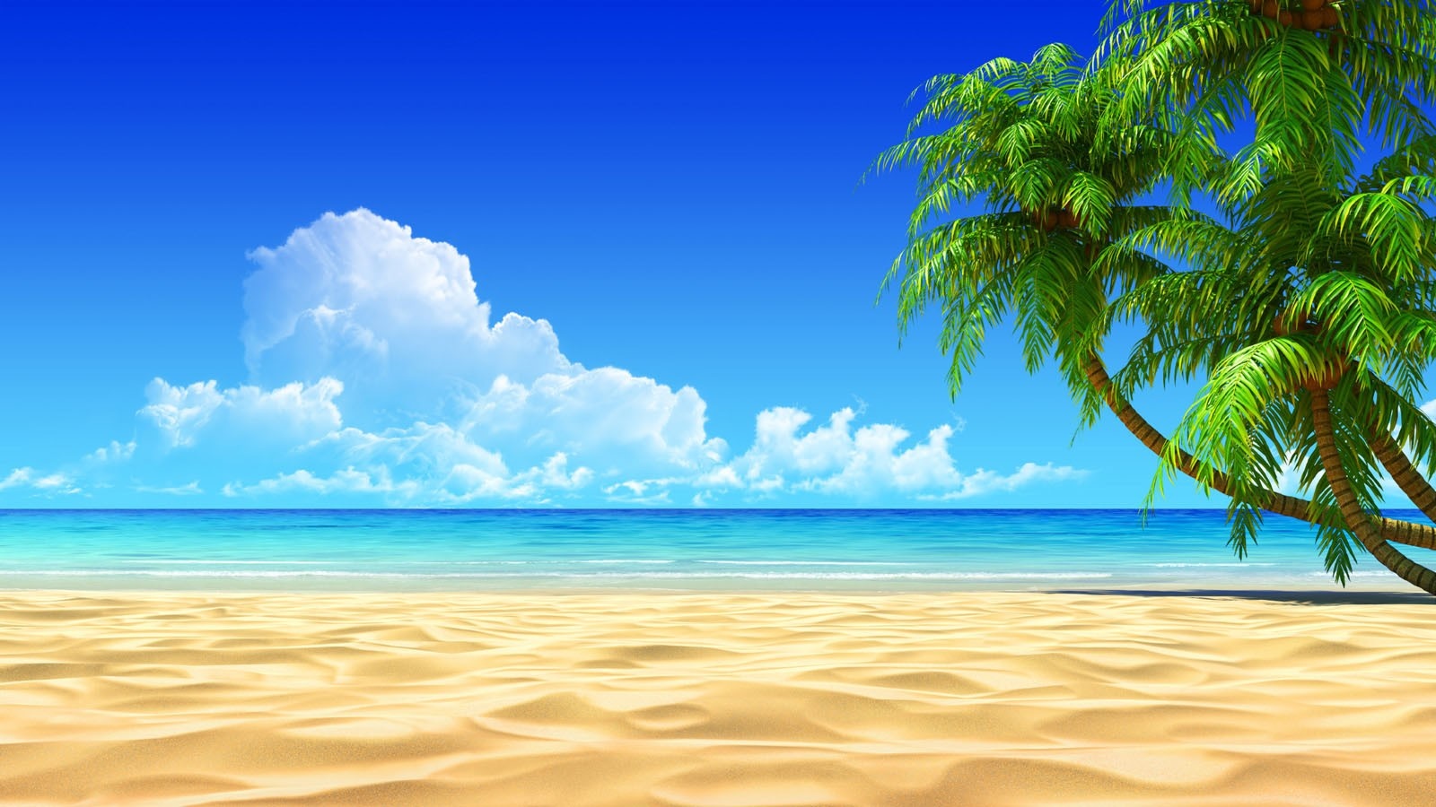 Tropical beach with palm trees and blue sky HD Wallpaper