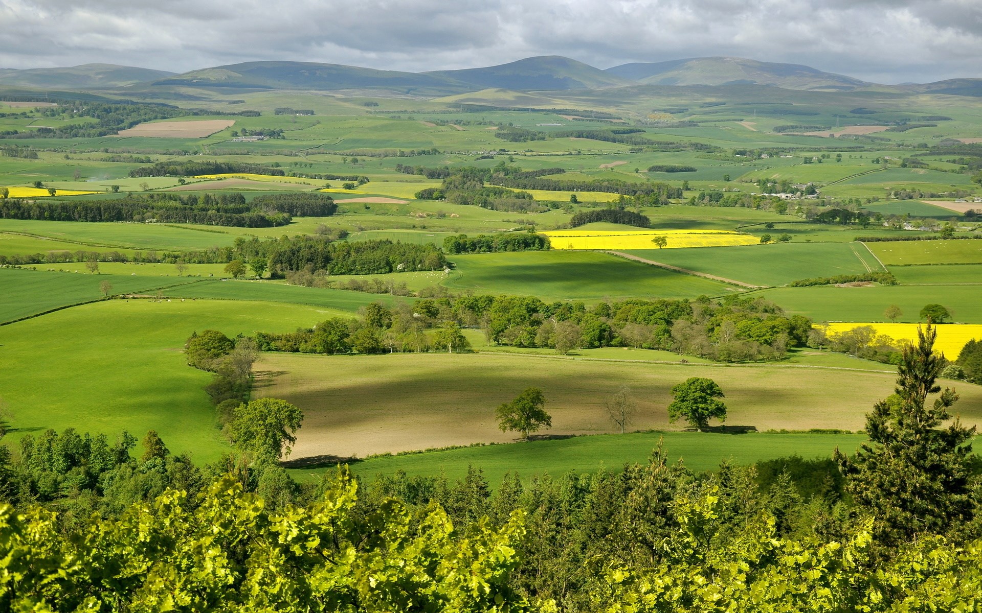 Rolling green hills and fields under a cloudy sky HD Wallpaper