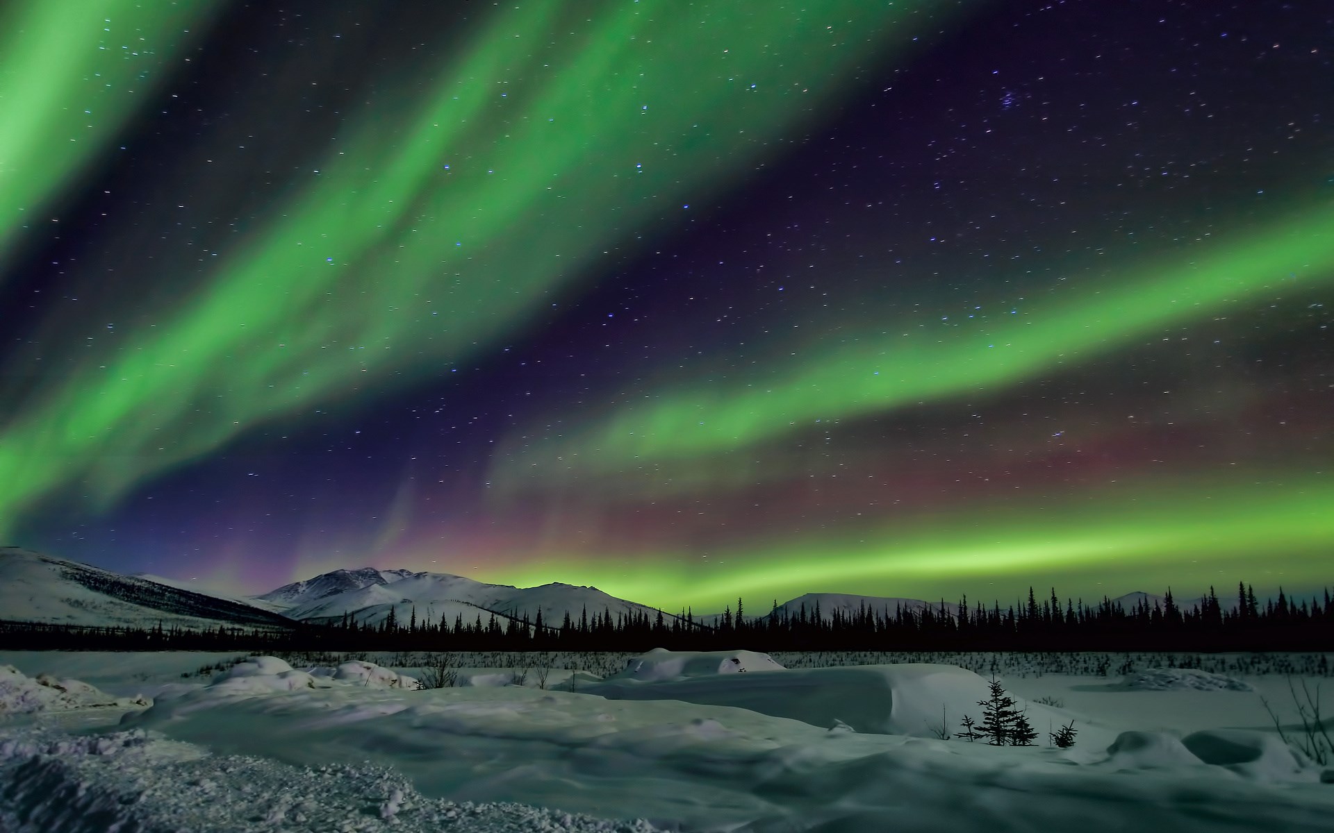 Aurora Borealis over snowy mountains and forest HD Wallpaper