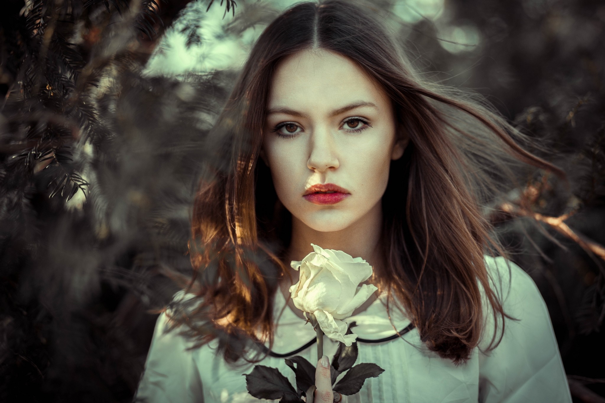 Woman holding a white rose HD Wallpaper